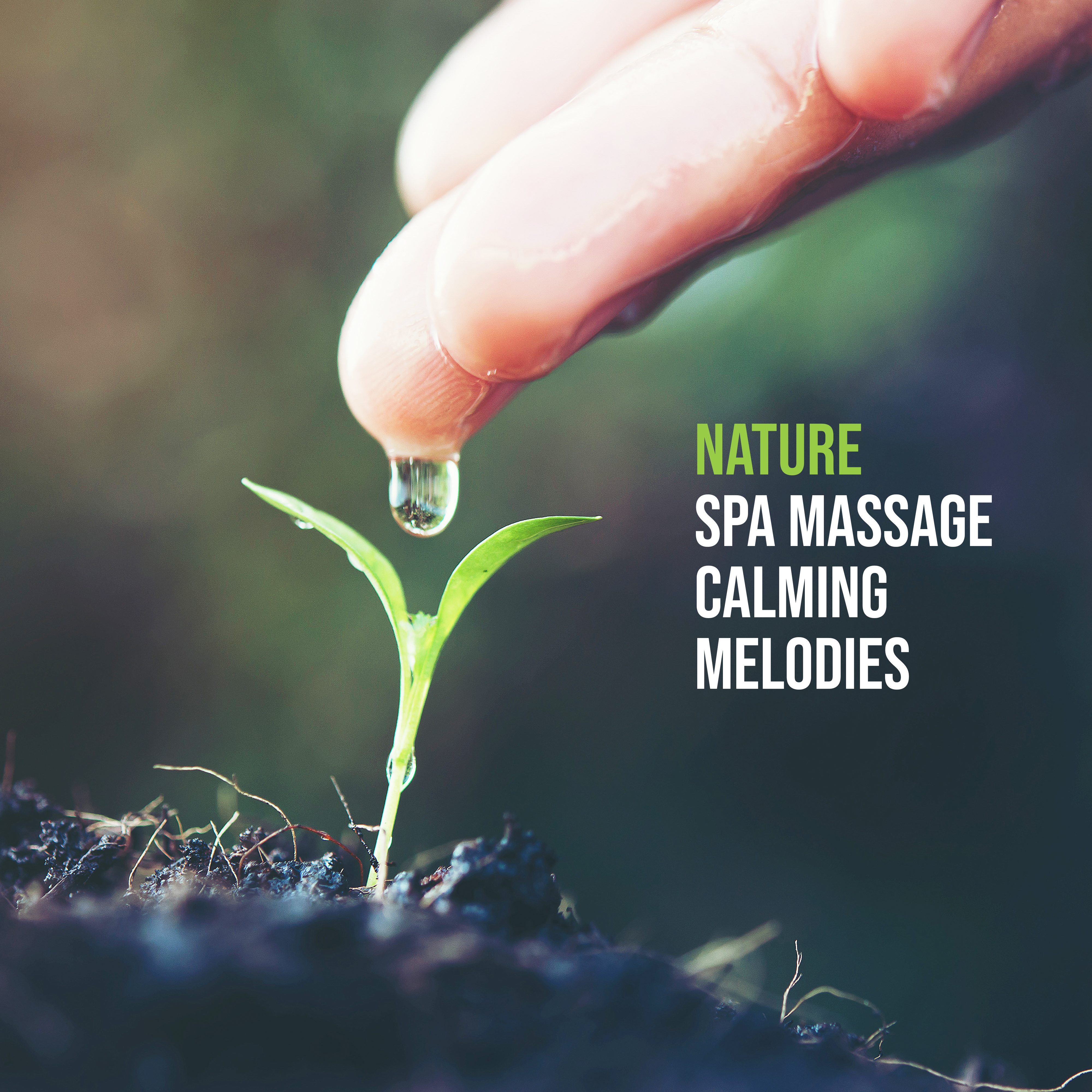 Nature Spa Massage Calming Melodies  New Age Spa  Wellness Sounds of Nature, Bird' s Songs, Slow Relaxing Music