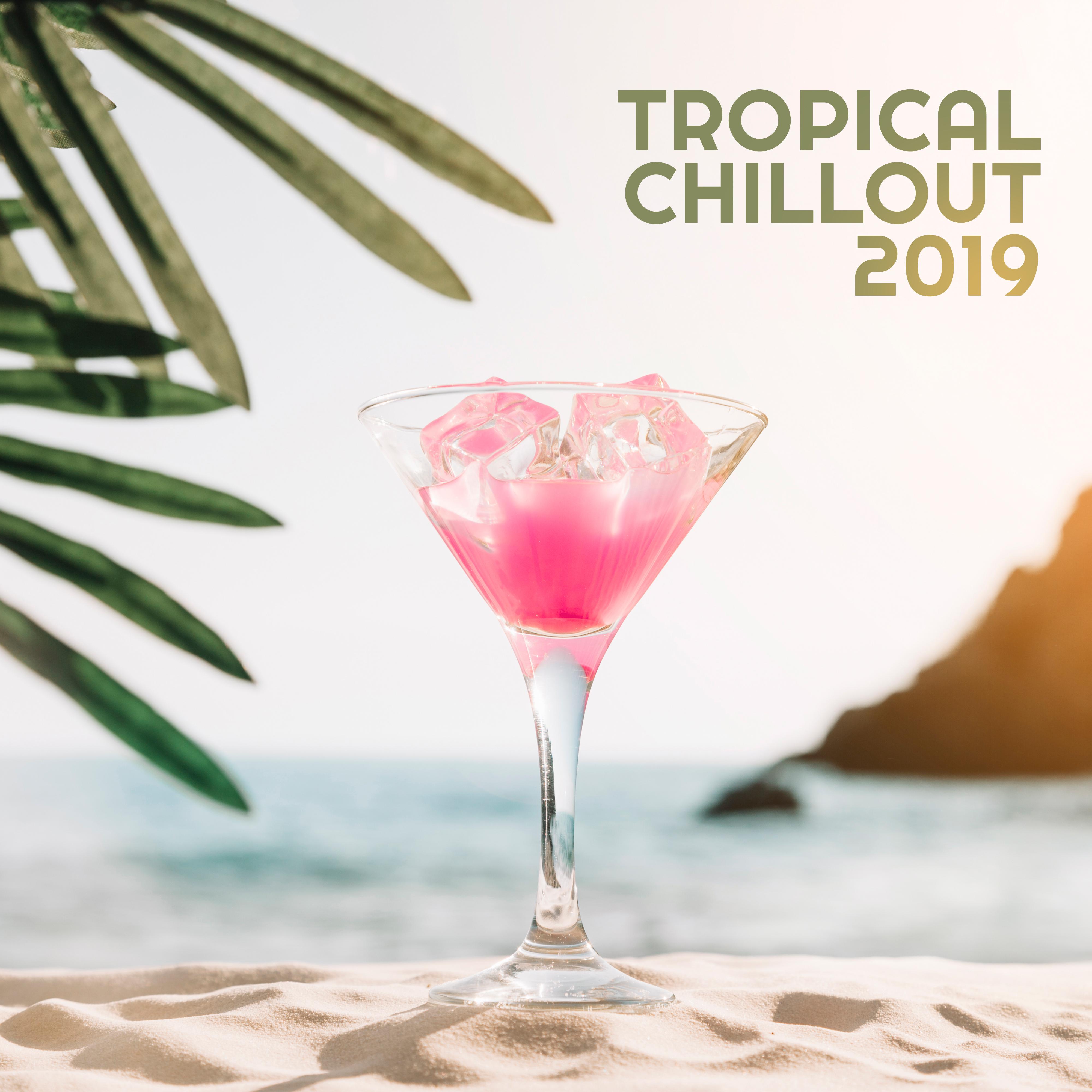 Tropical Chillout 2019  Summer Electronic Vibes, Rest Under the Palms, Calming On the Beach