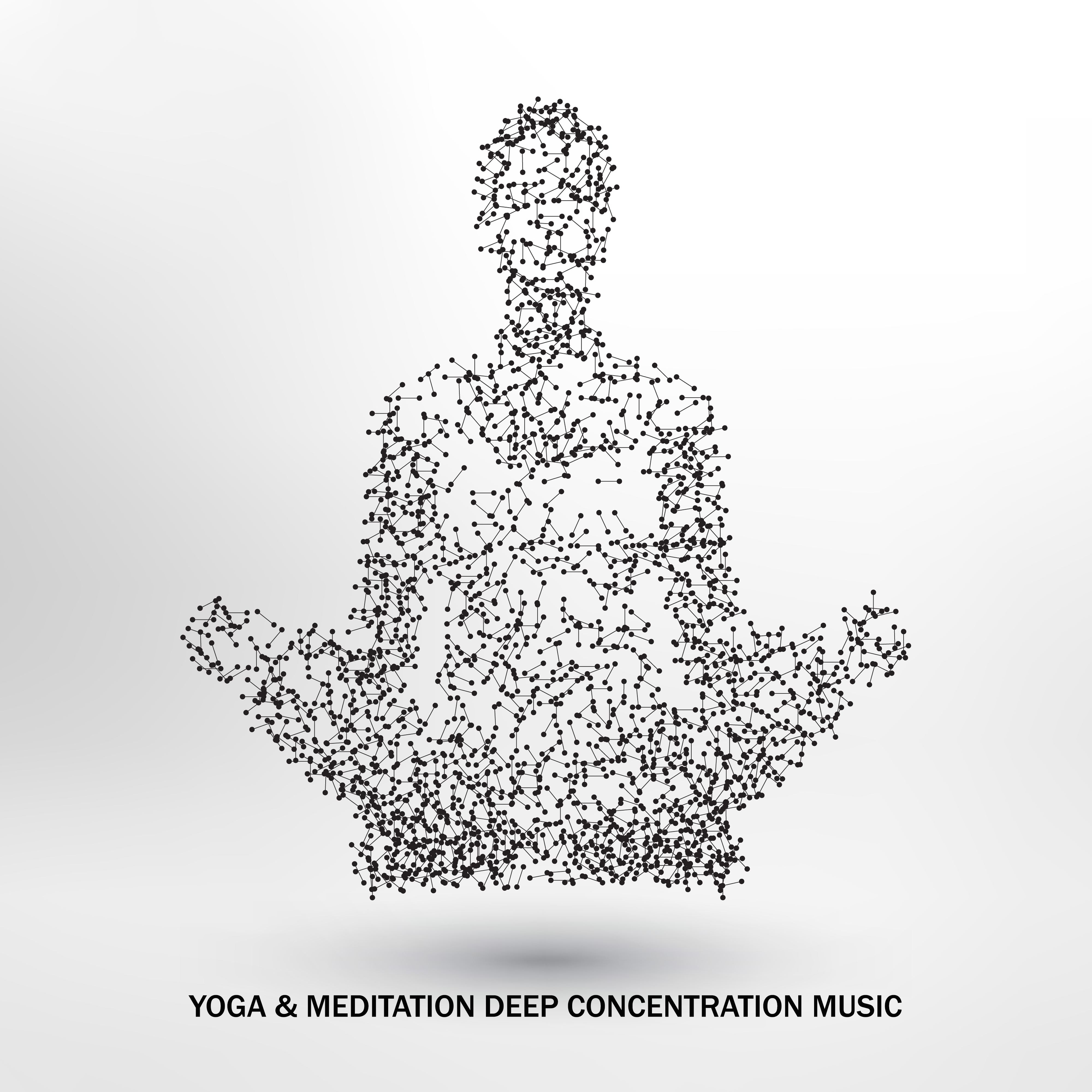 Yoga & Meditation Deep Concentration Music