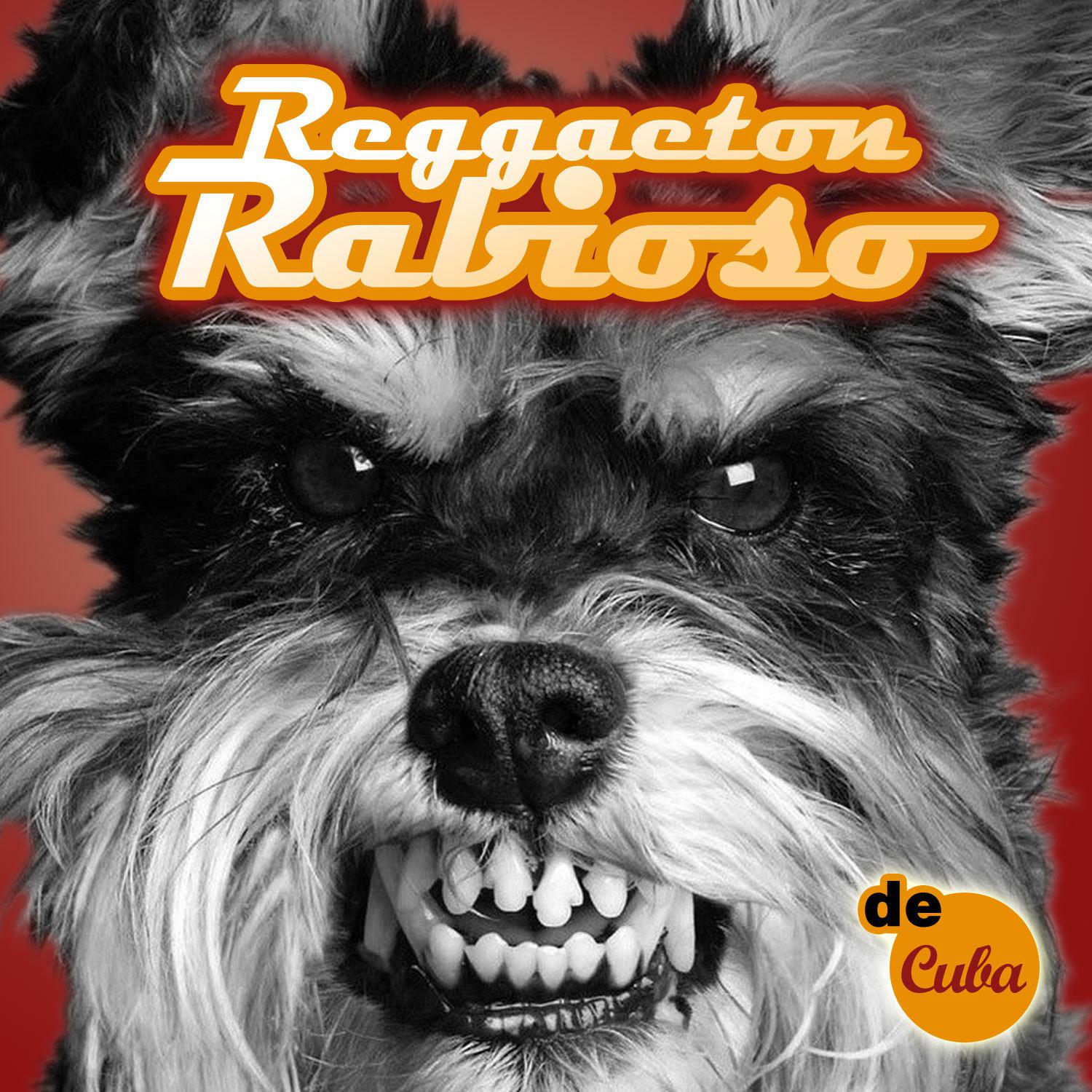 Reggaeton Rabioso