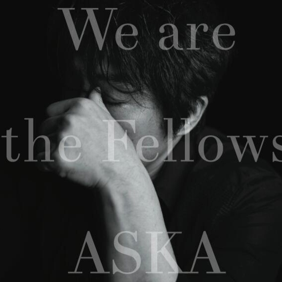 We are the Fellows