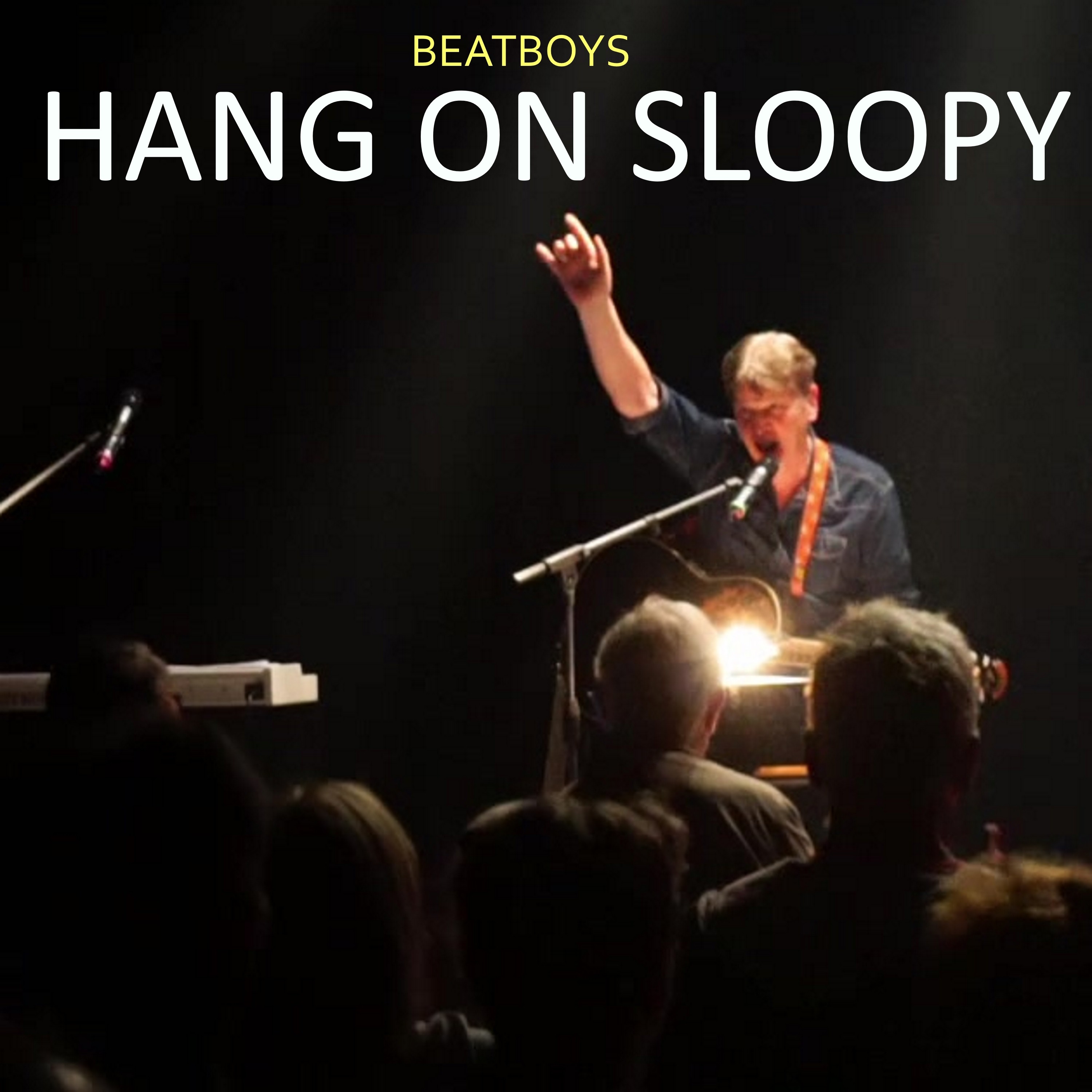 Hang on Sloopy