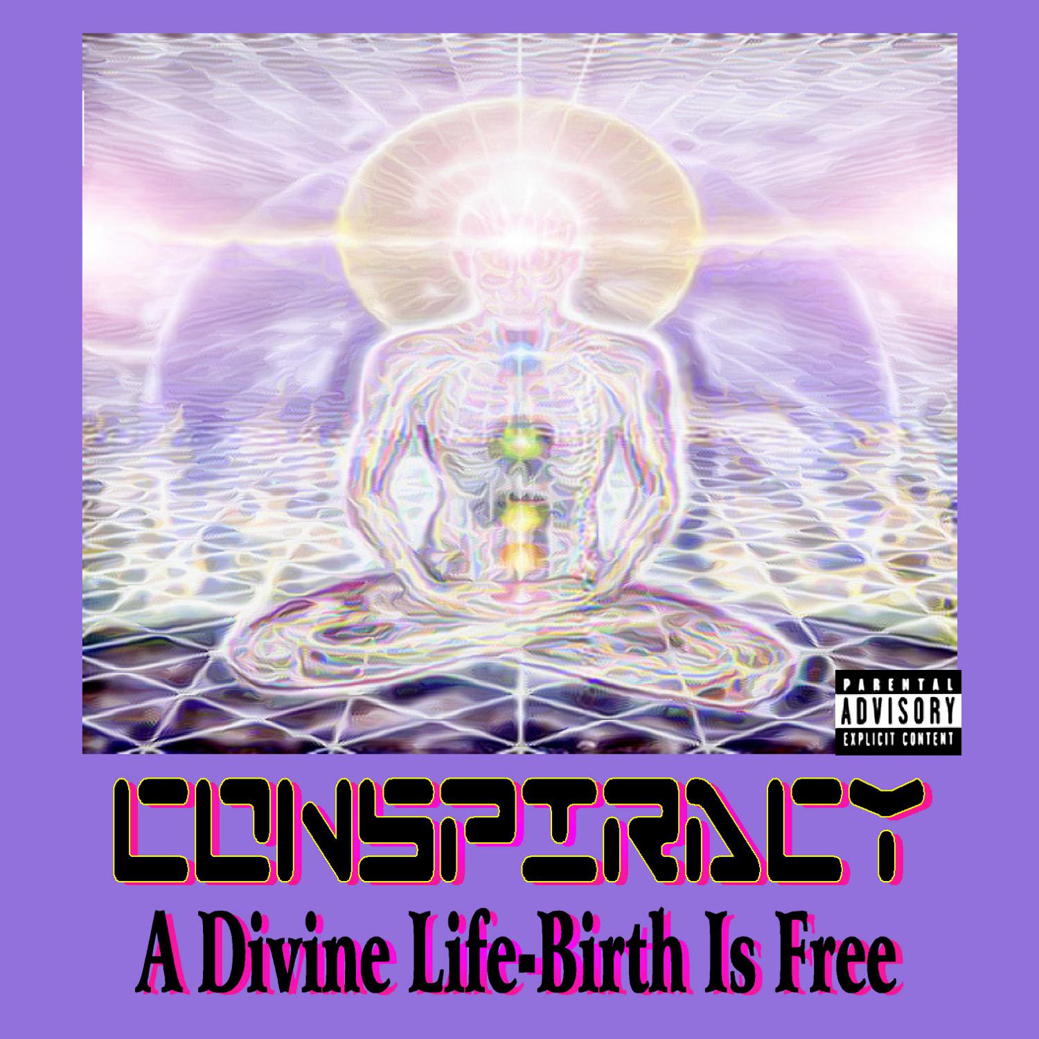 A Divine Life - Birth Is Free