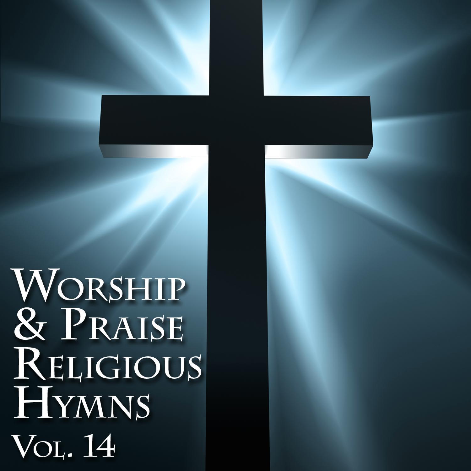 Worship & Praise Religious Hymns, Vol. 14