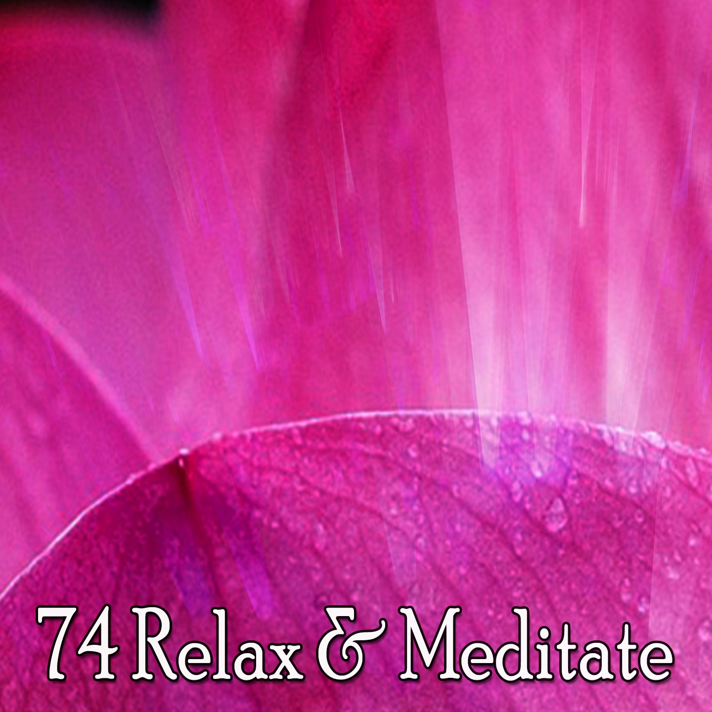 74 Relax & Meditate