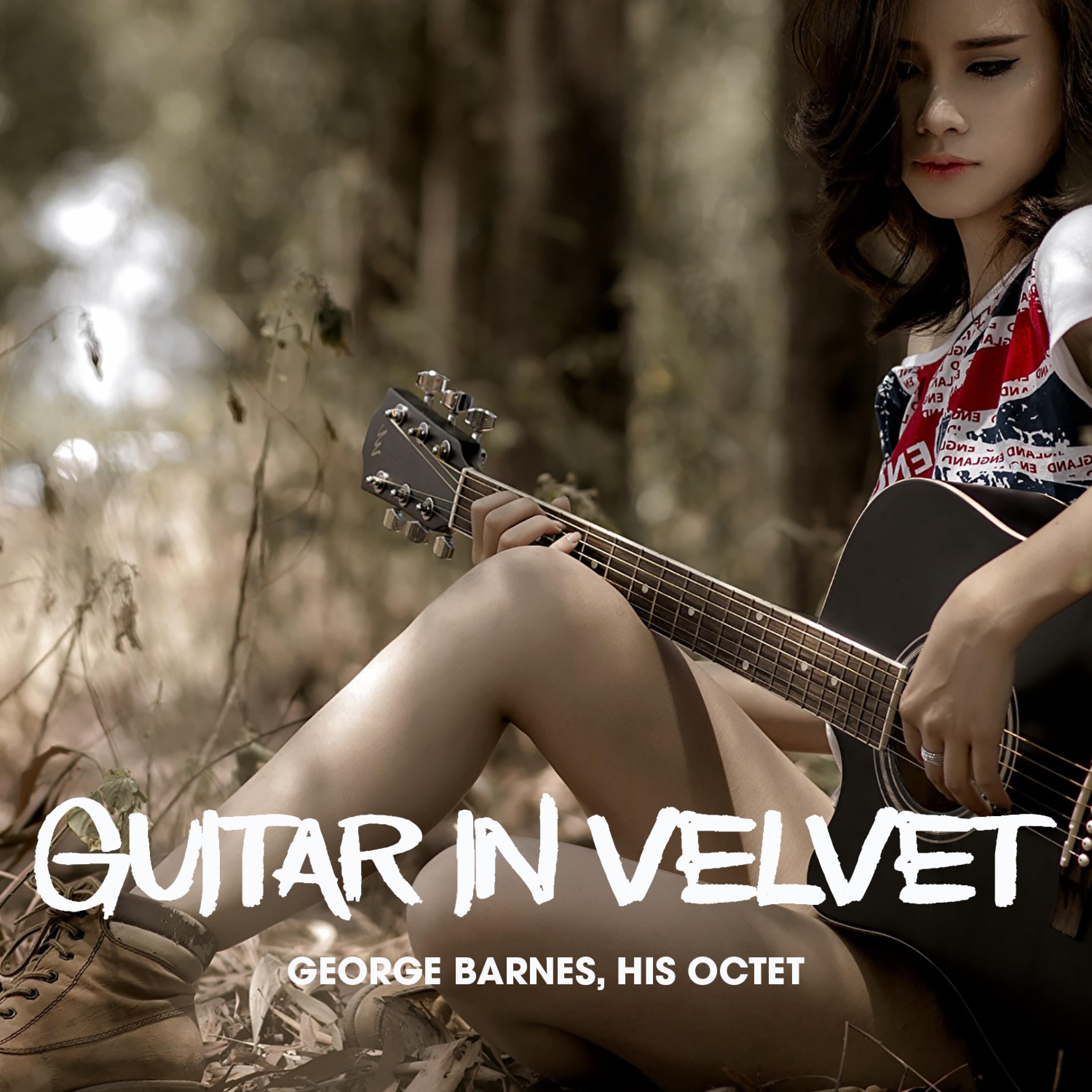 Guitar in Velvet
