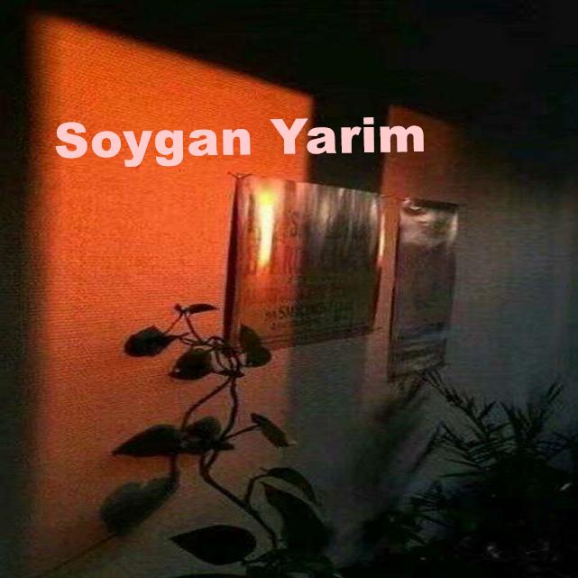 Soygan Yarim