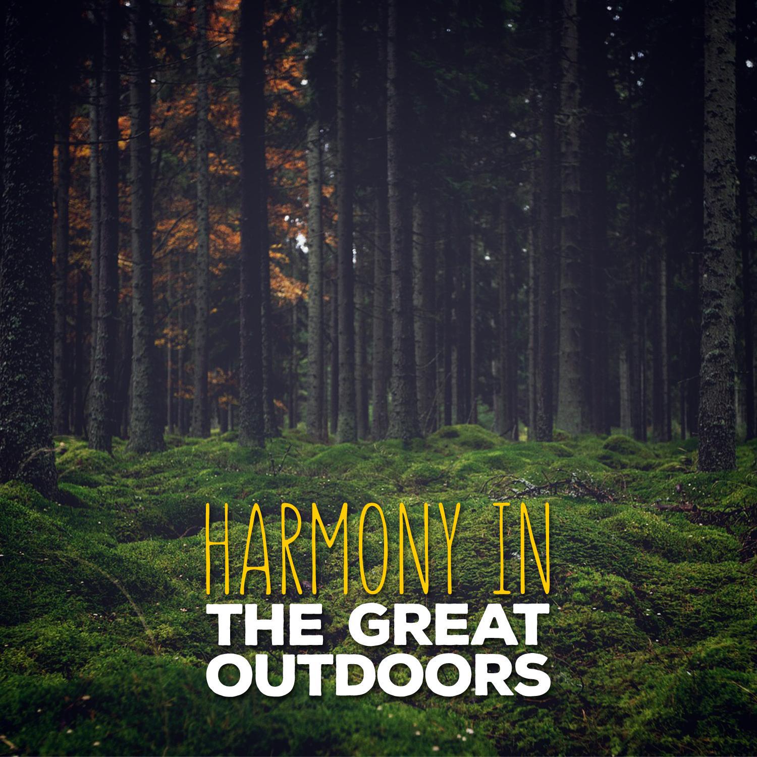 Harmony in the Great Outdoors