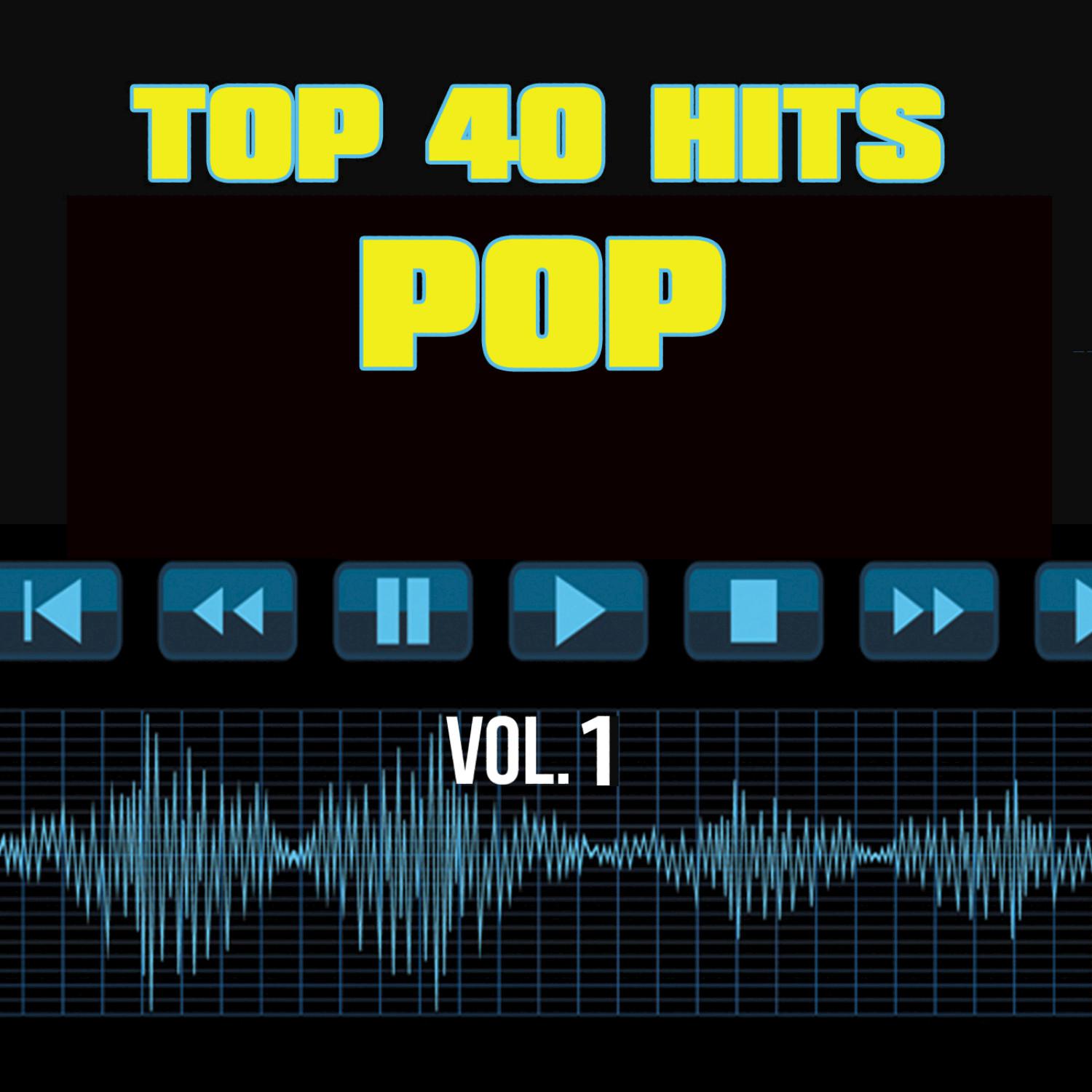 40 Pop Hits Vol. 1