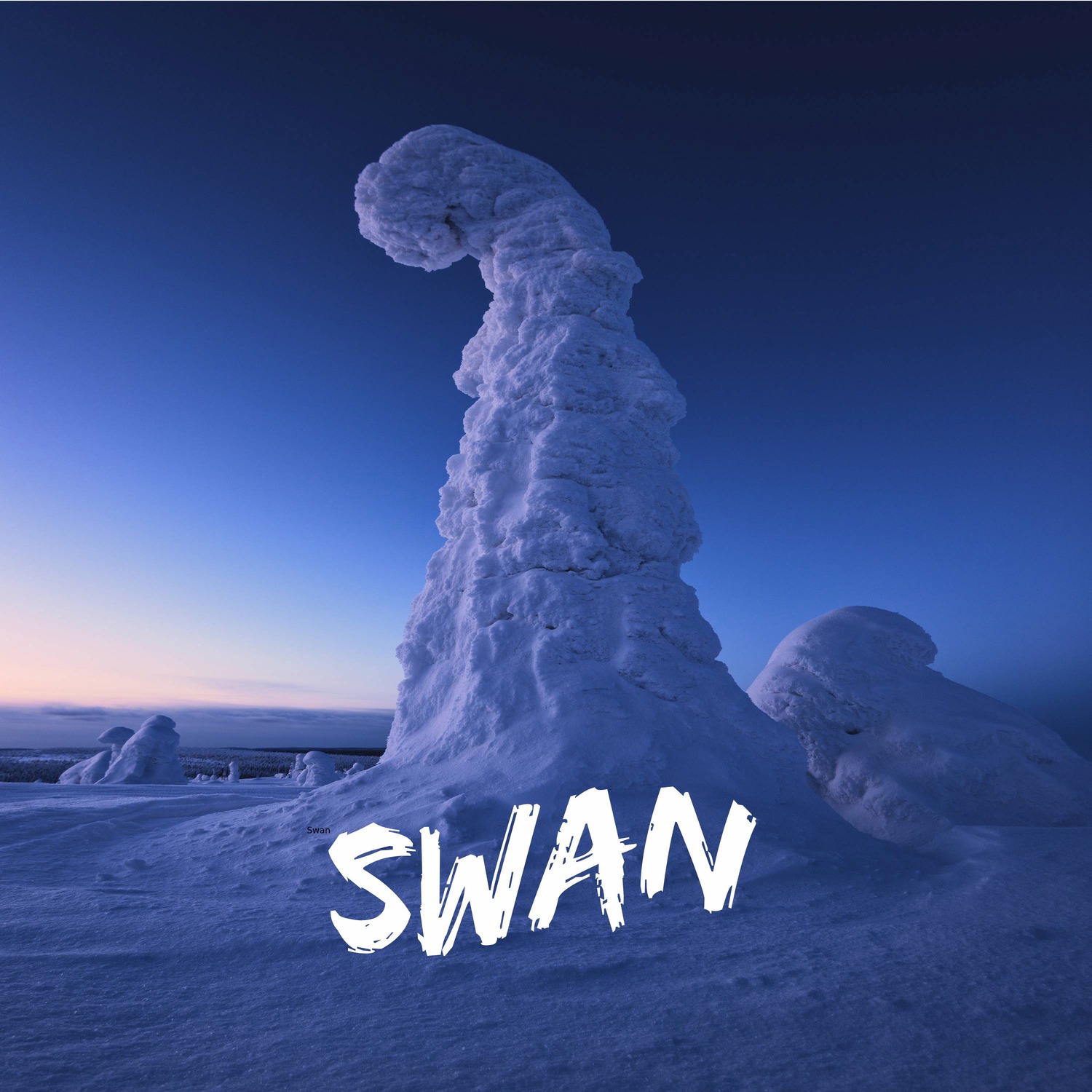 Swan