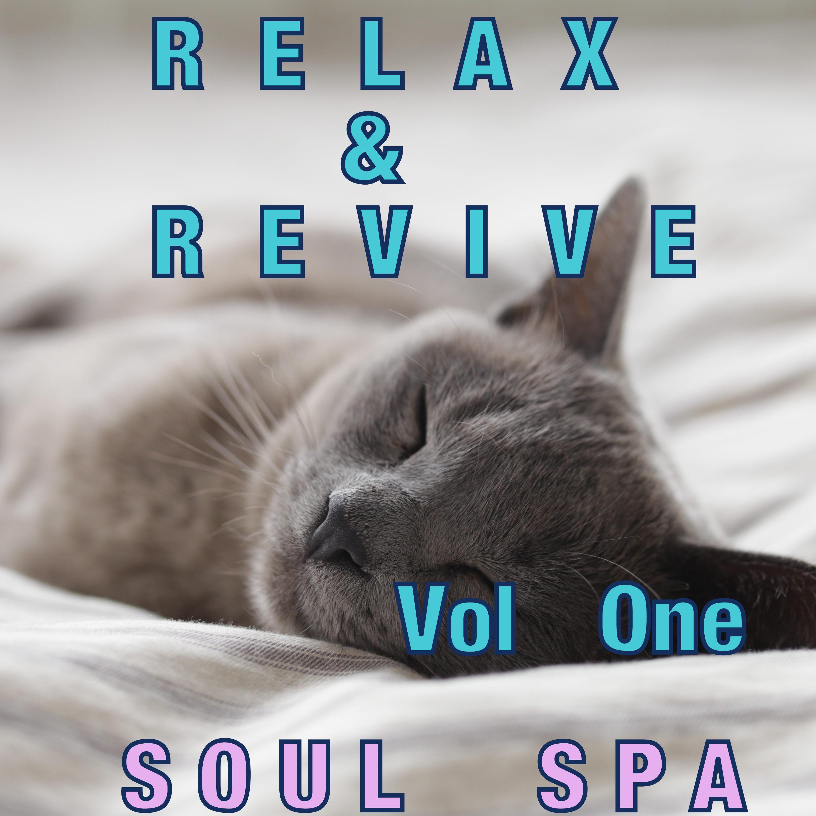 RELAX and REVIVE ( Vol One )