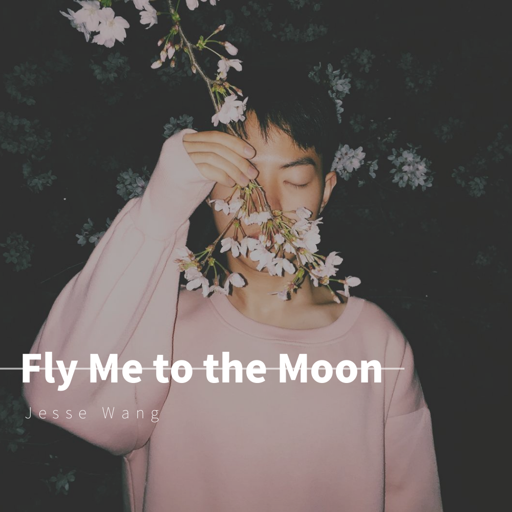 Fly Me to the Moon