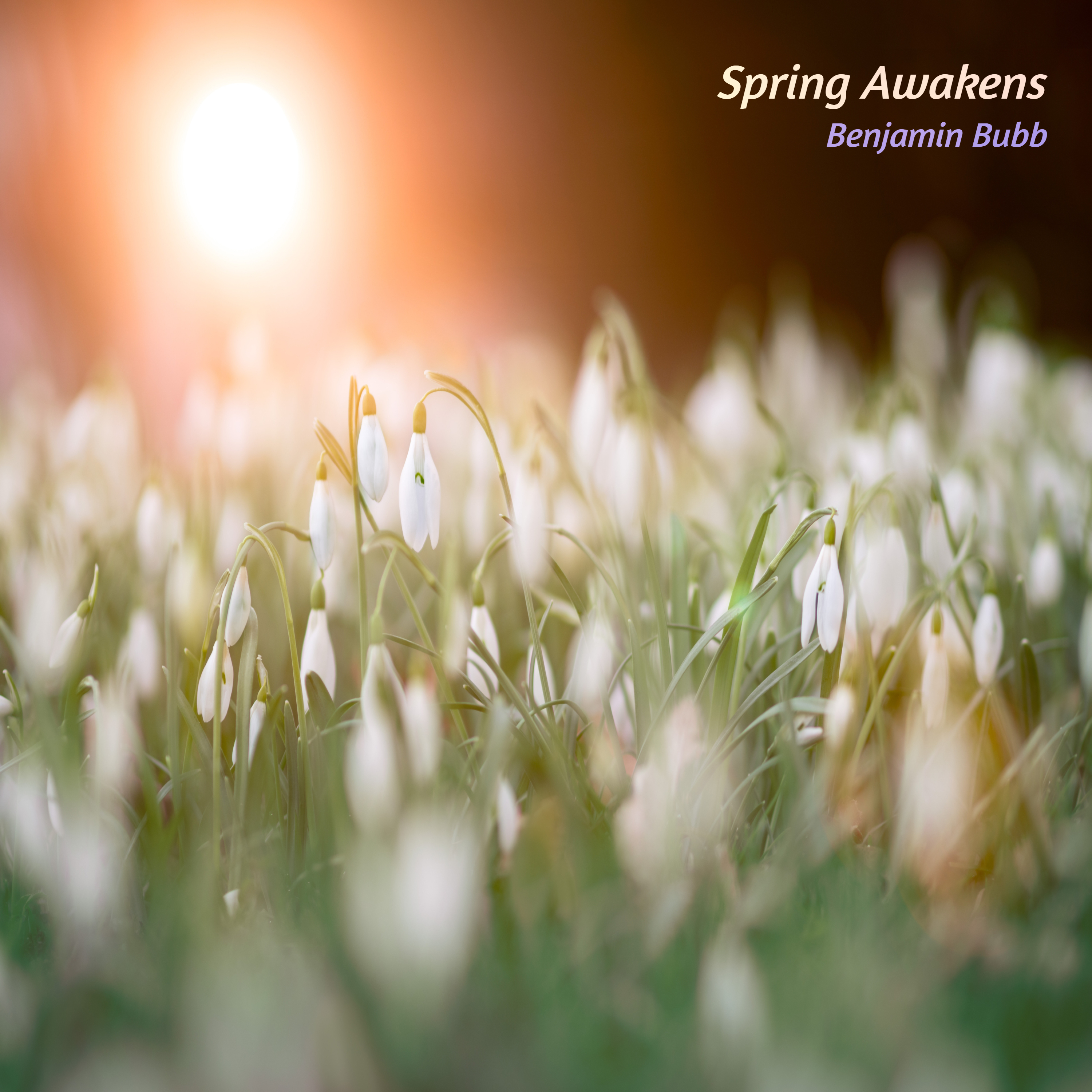 Spring Awakens