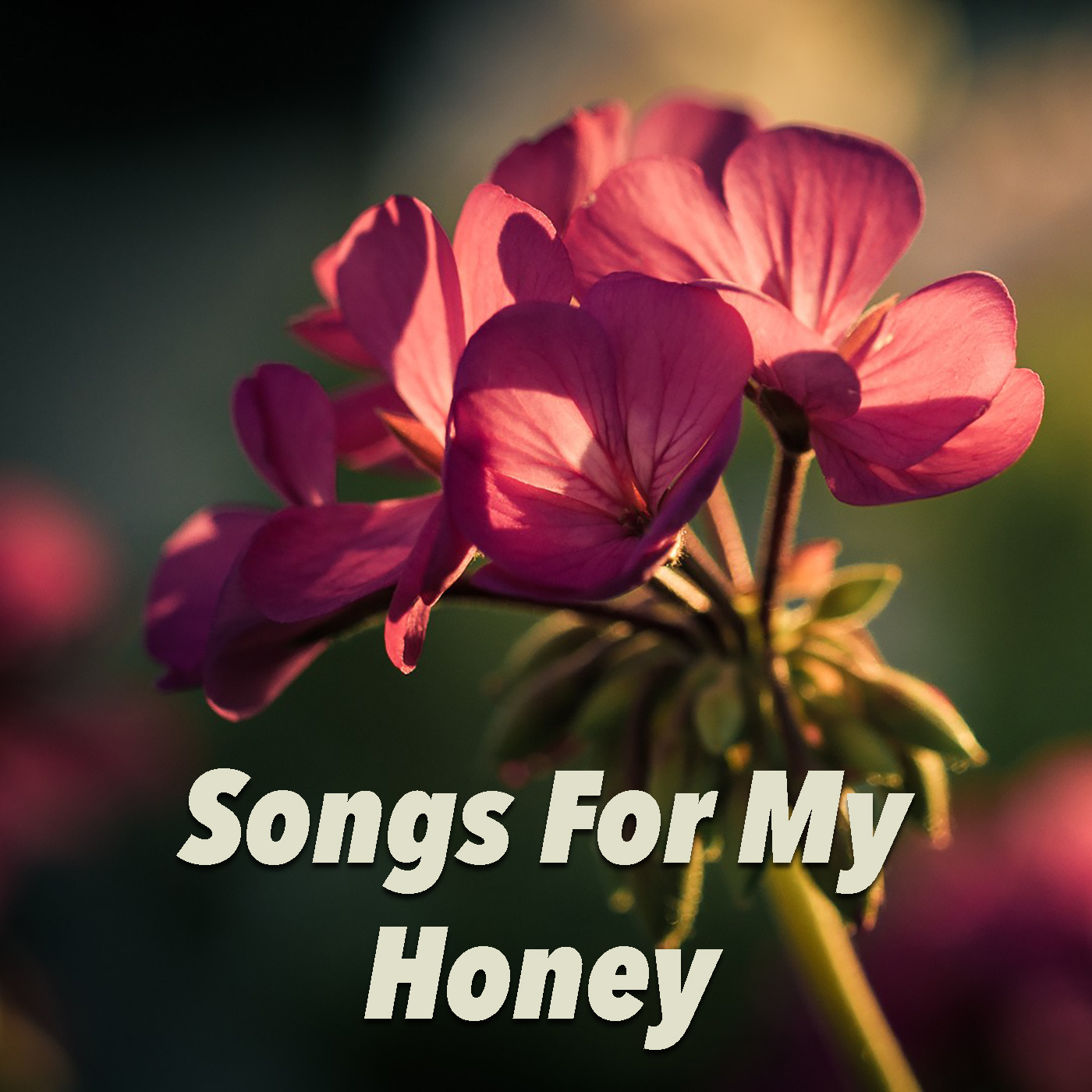 Songs For My Honey