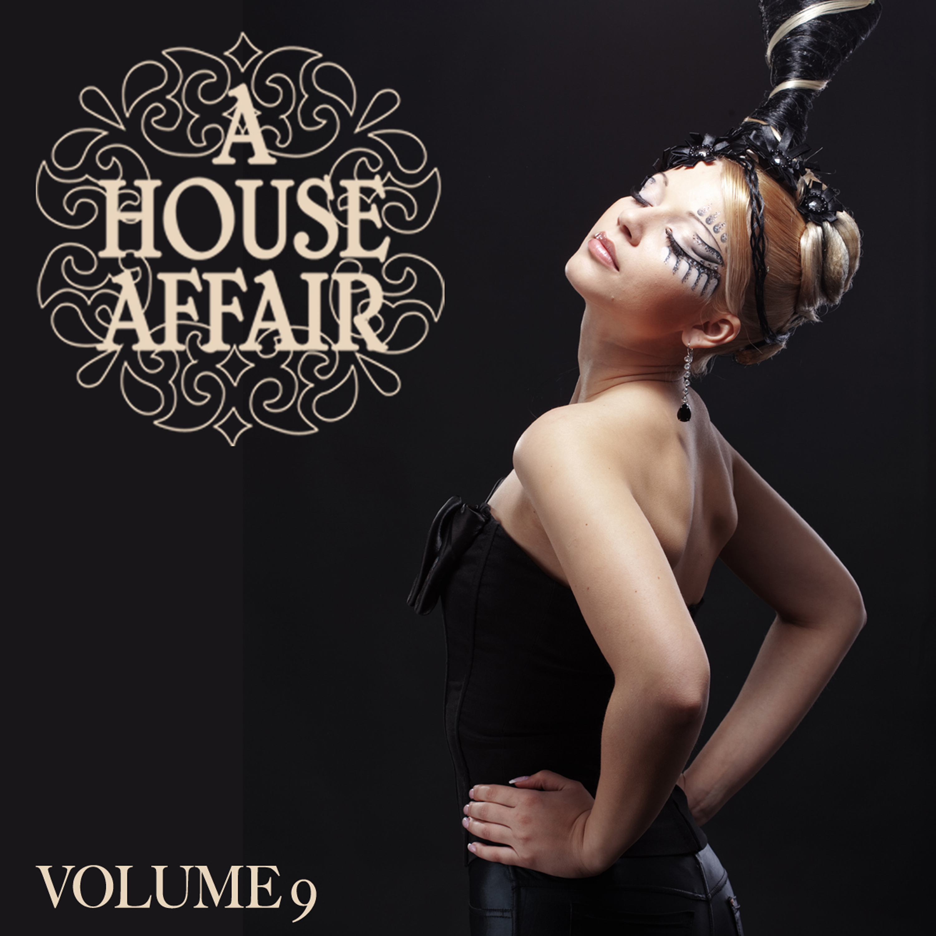 A House Affair Vol. 9