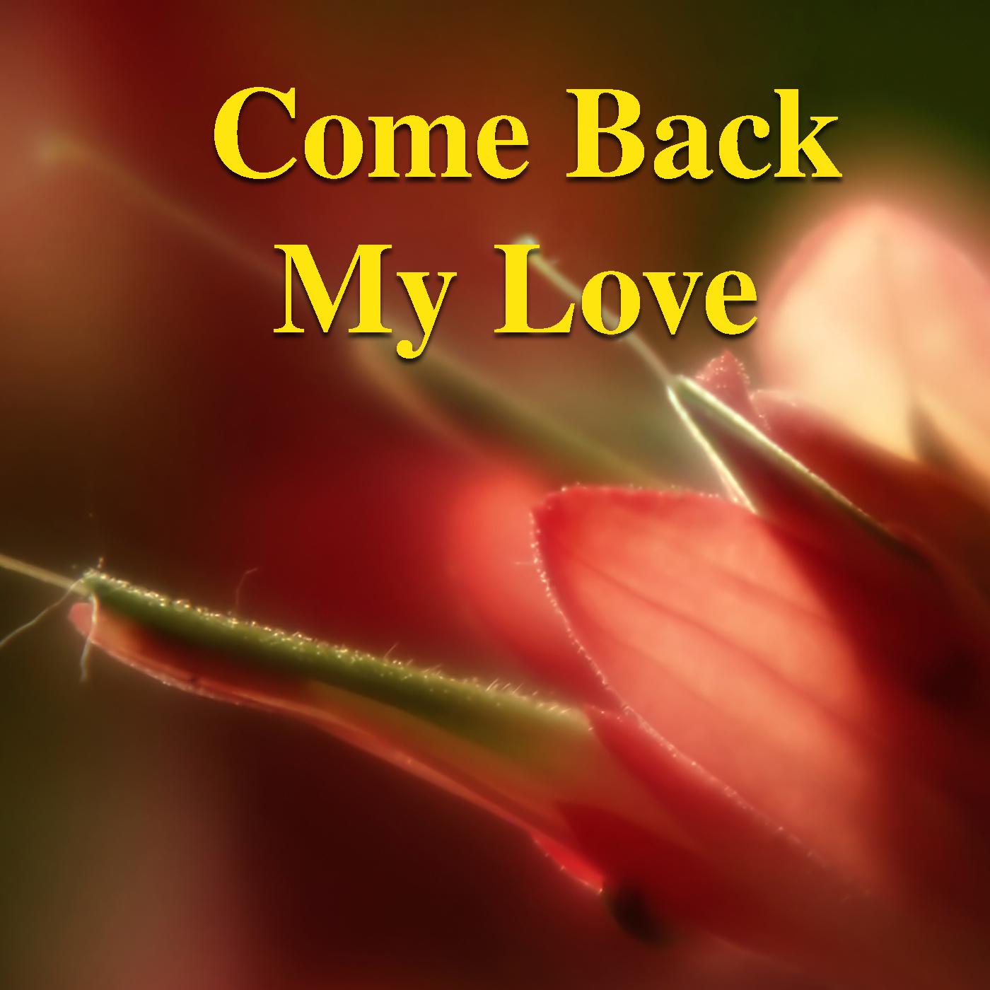 Come Back My Love
