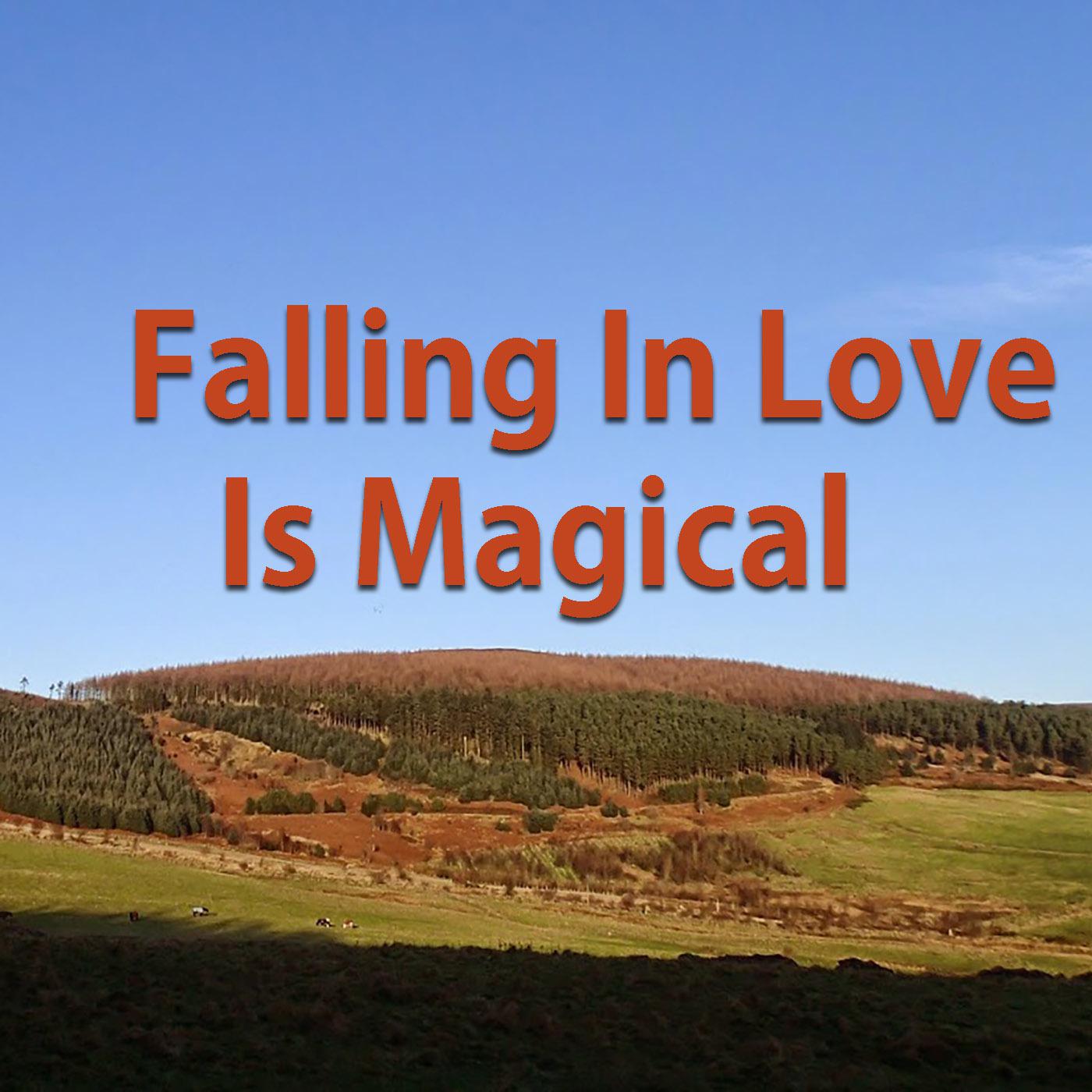 Falling In Love Is Magical