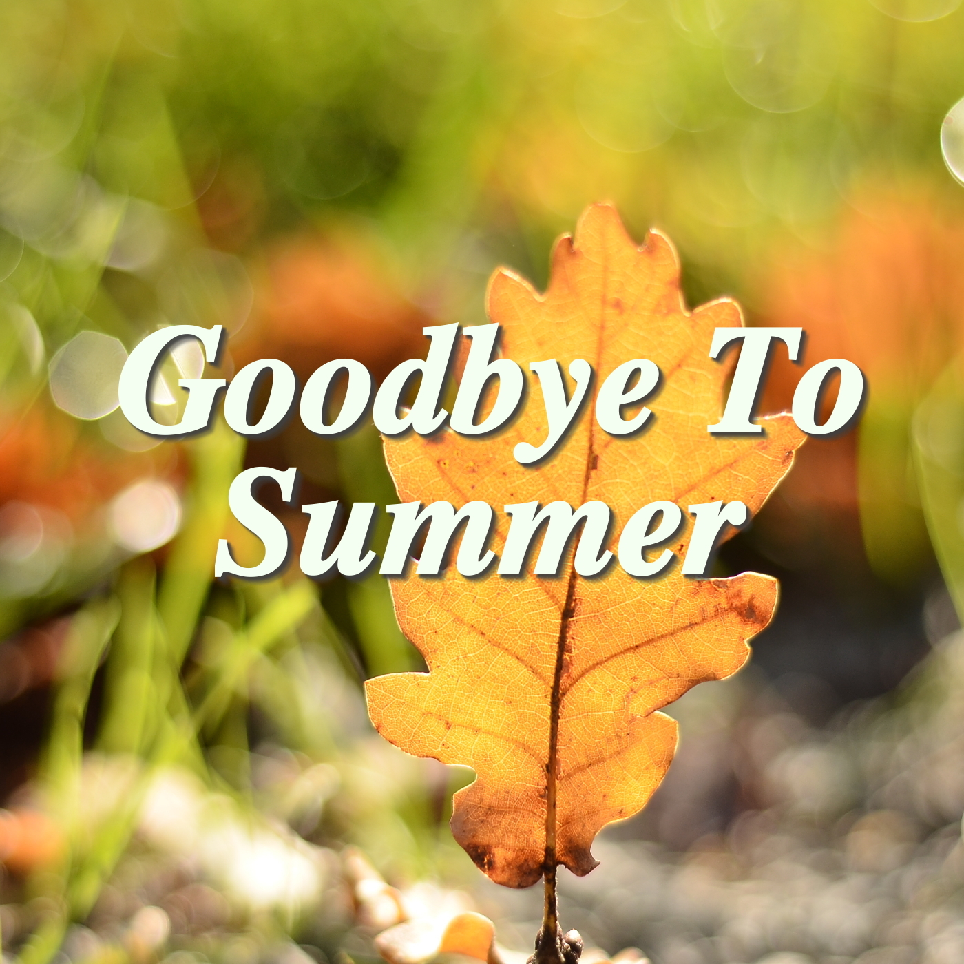 Goodbye To Summer