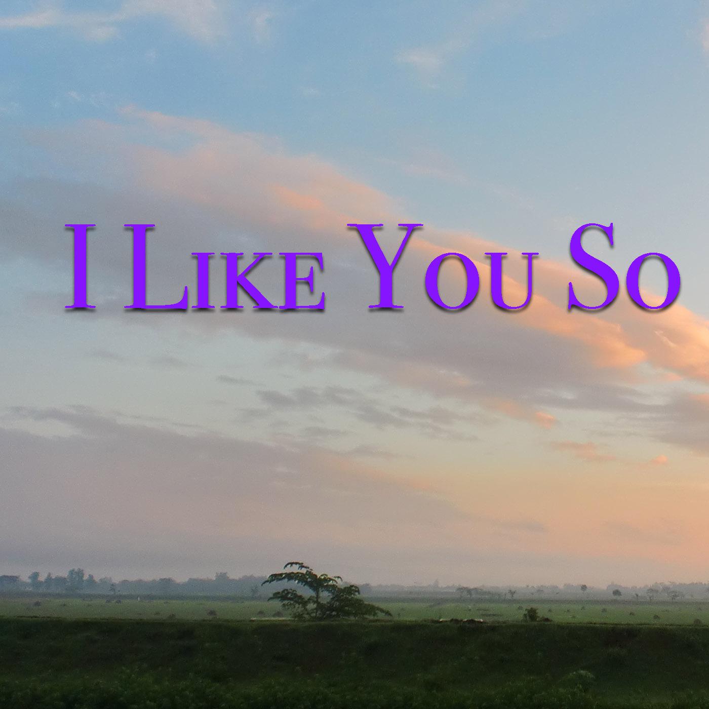 I Like You So