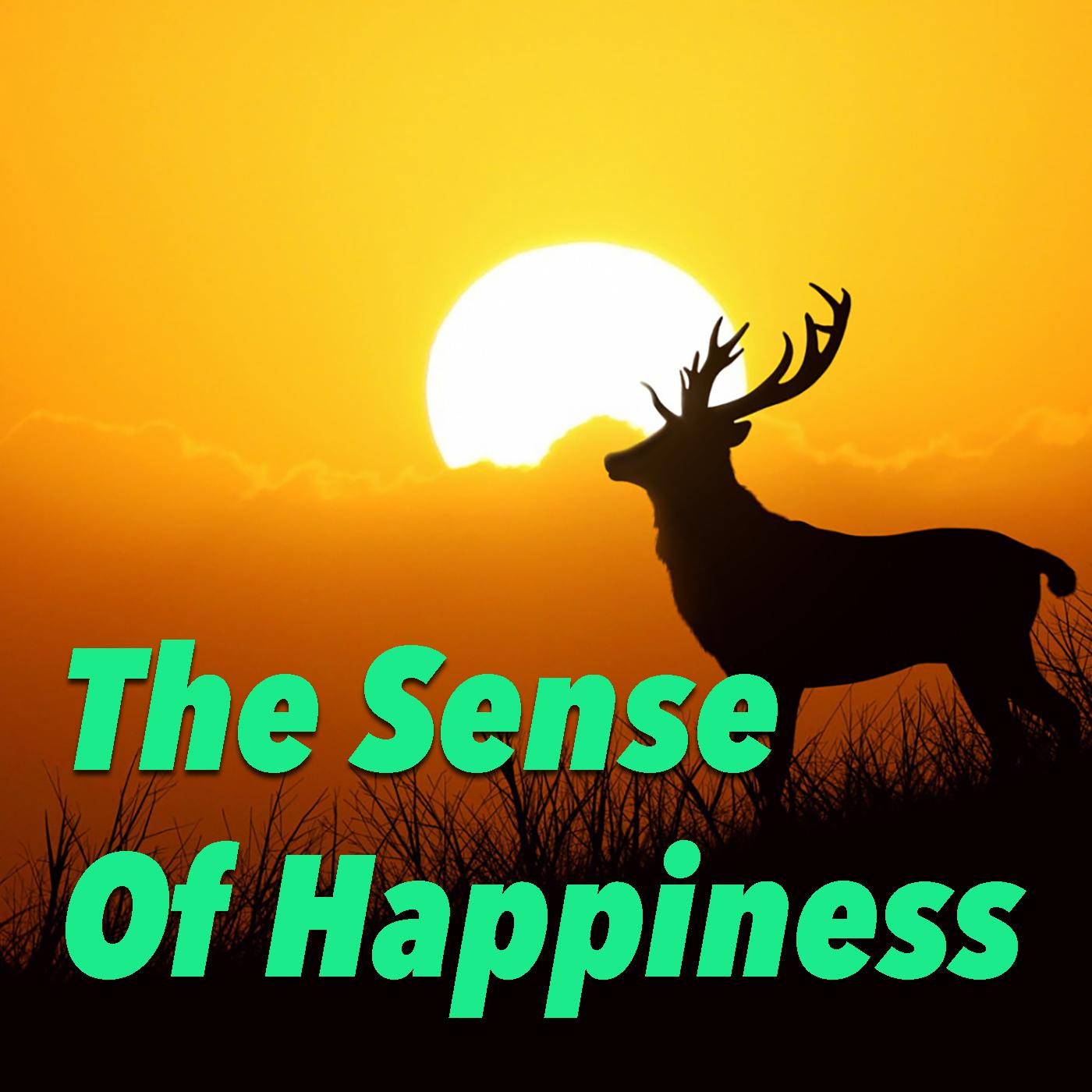 The Sense Of Happiness