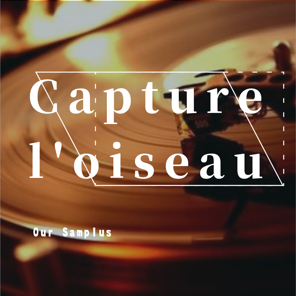 Capture loiseau