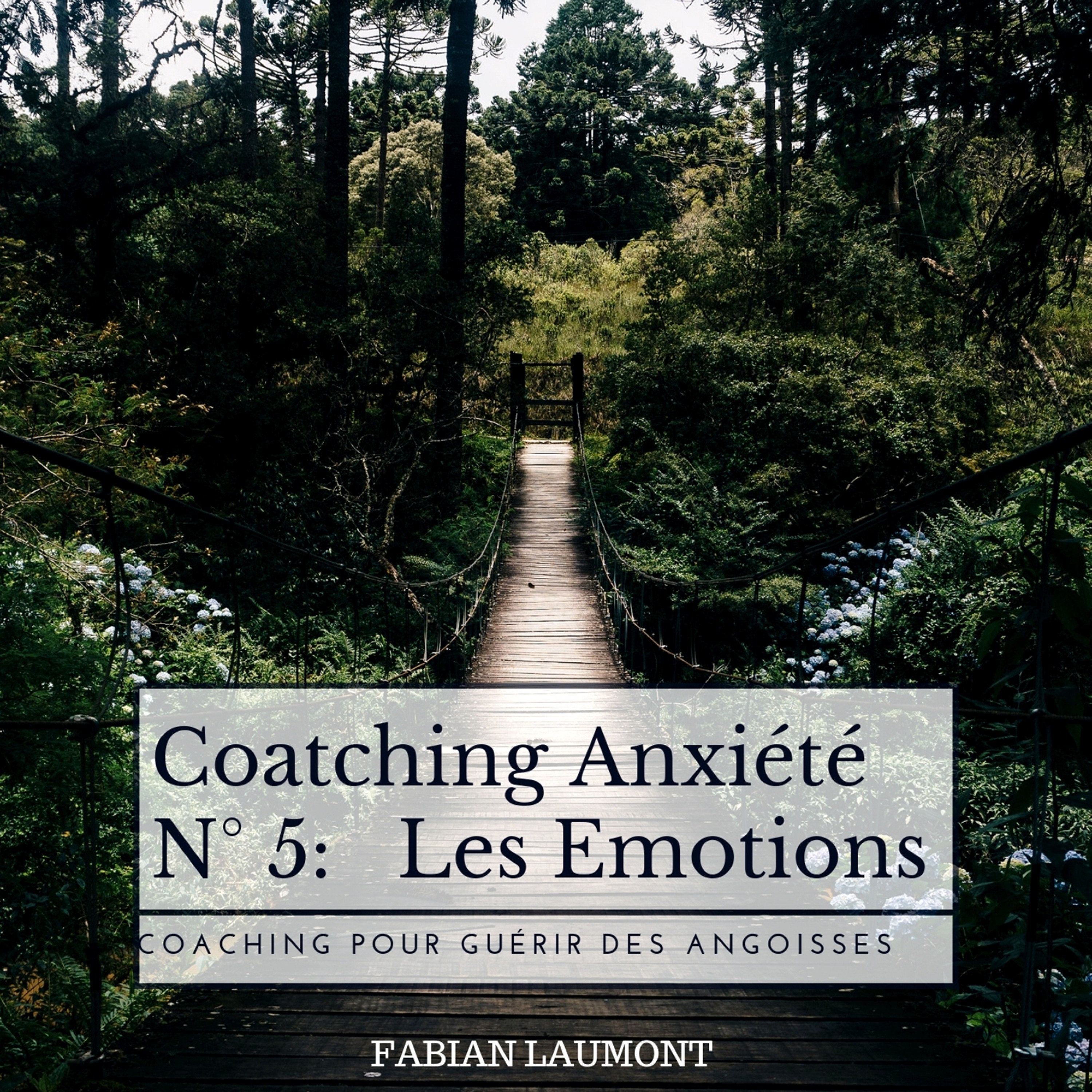 Coatching Anxie te N 5: Les Emotions