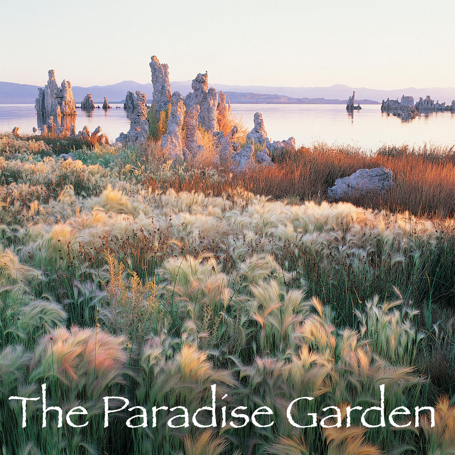 The Paradise Garden