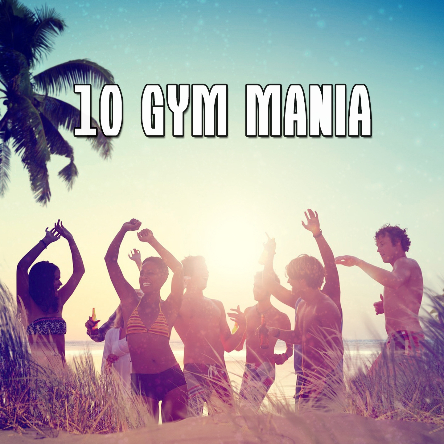 10 Gym Mania