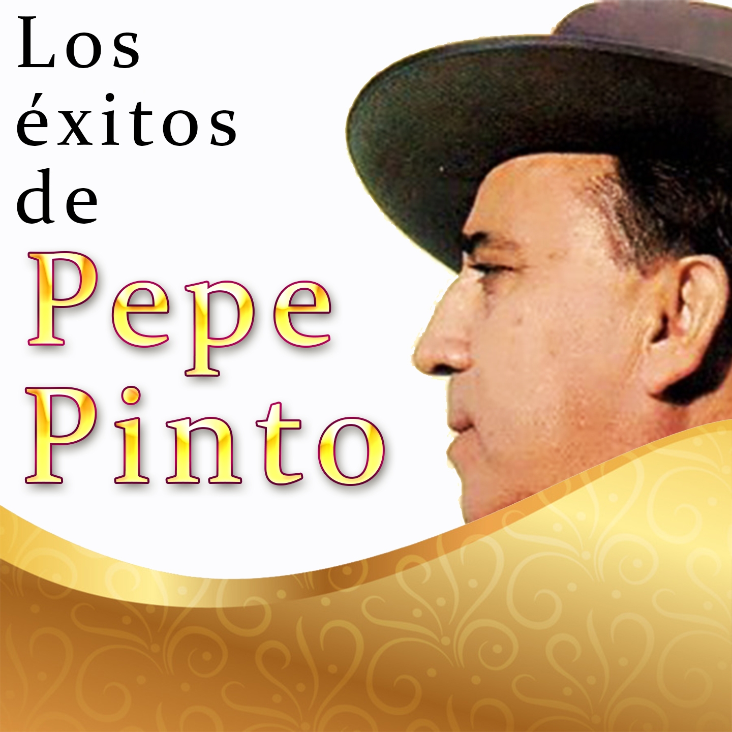 Los e xitos de Pepe Pinto