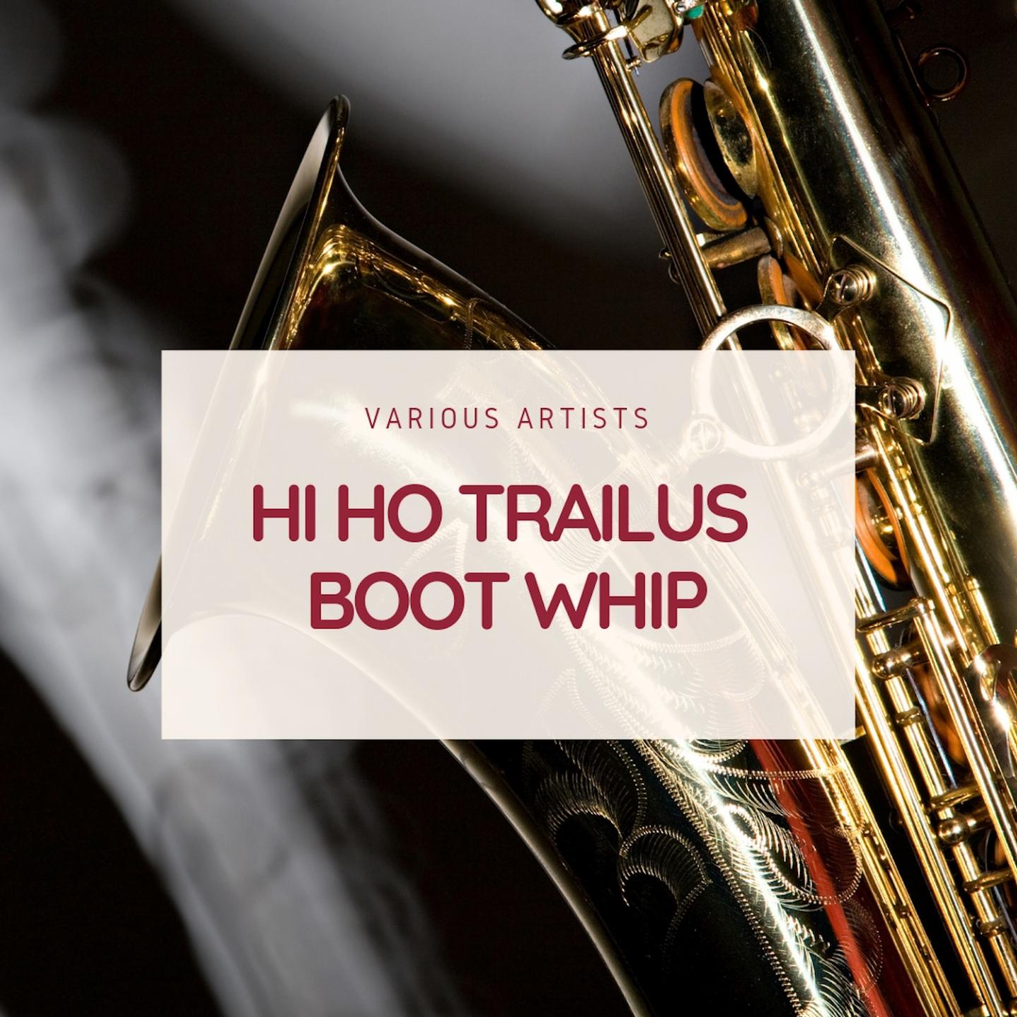 Hi Ho Trailus Boot Whip