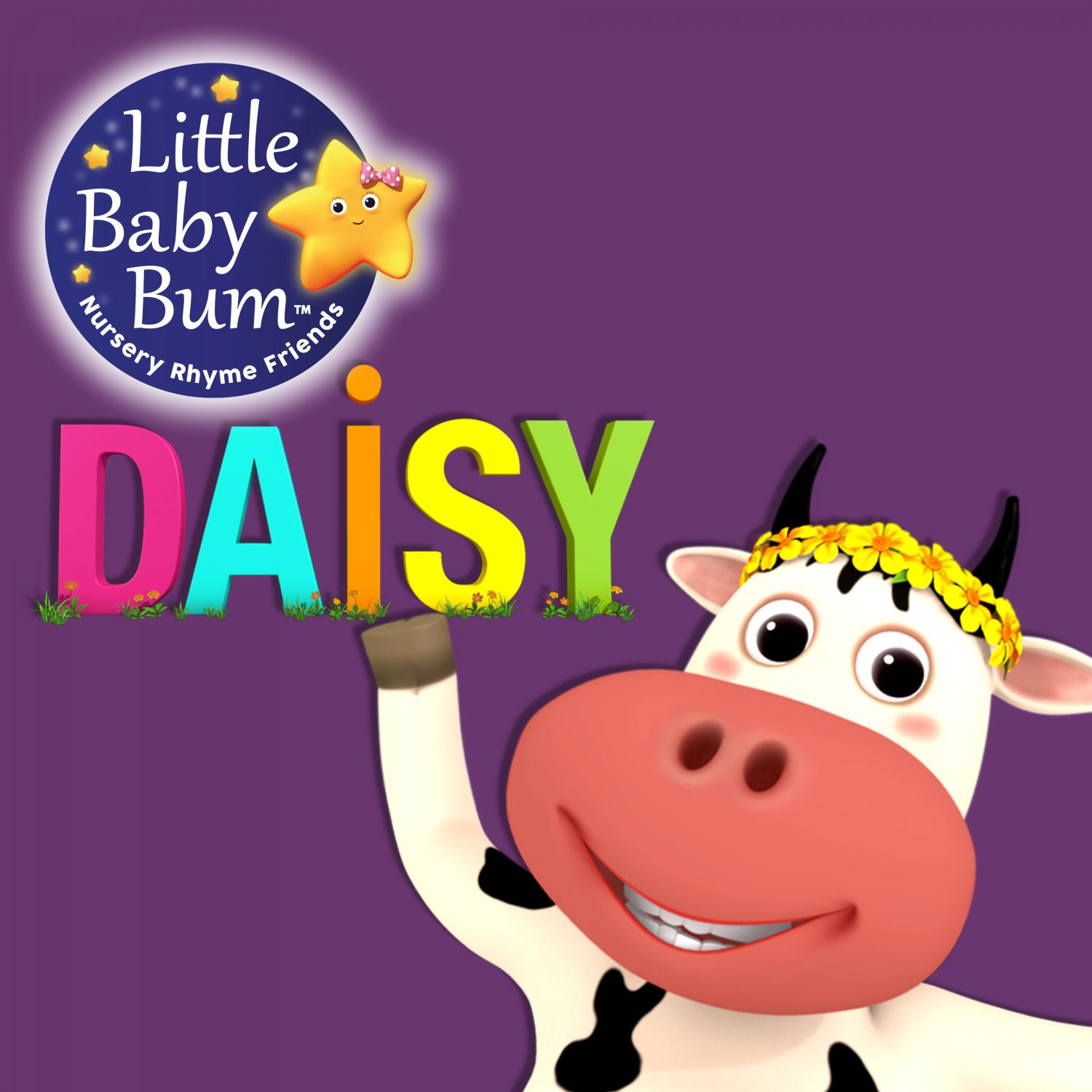 DAISY