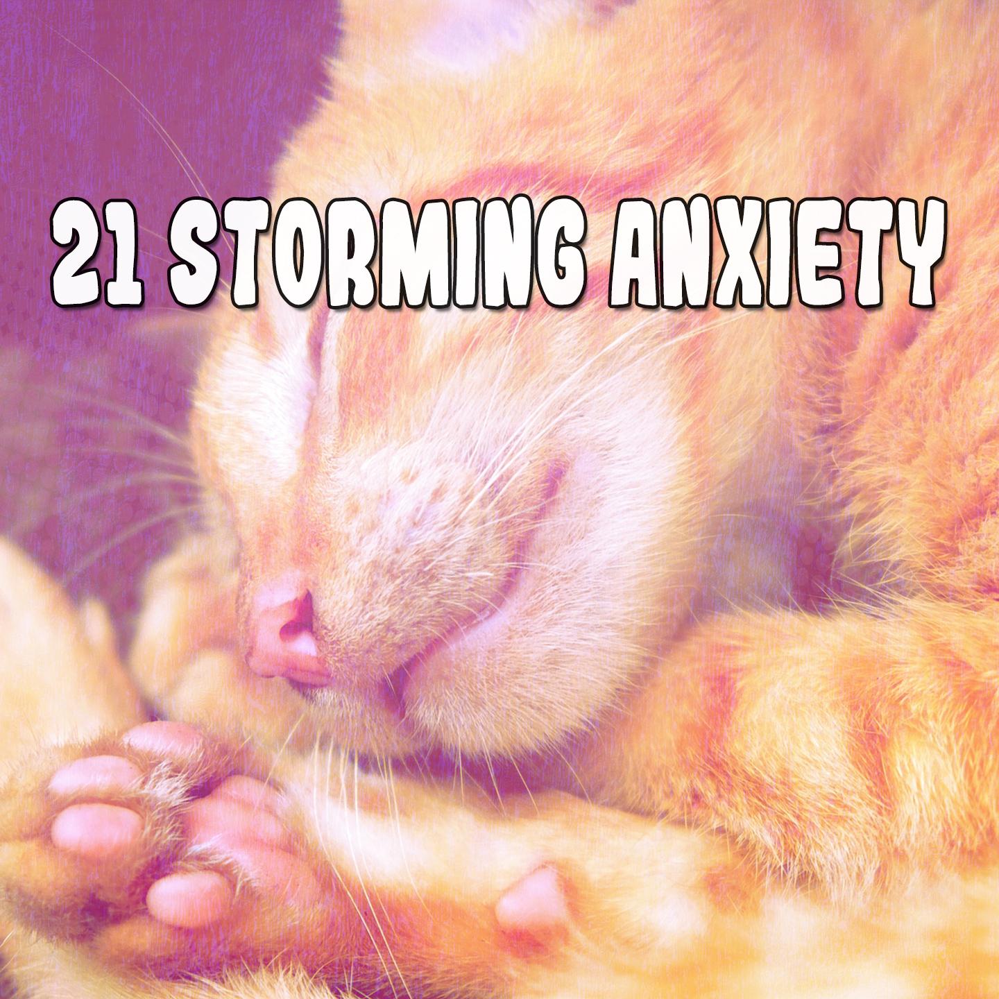 21 Storming Anxiety