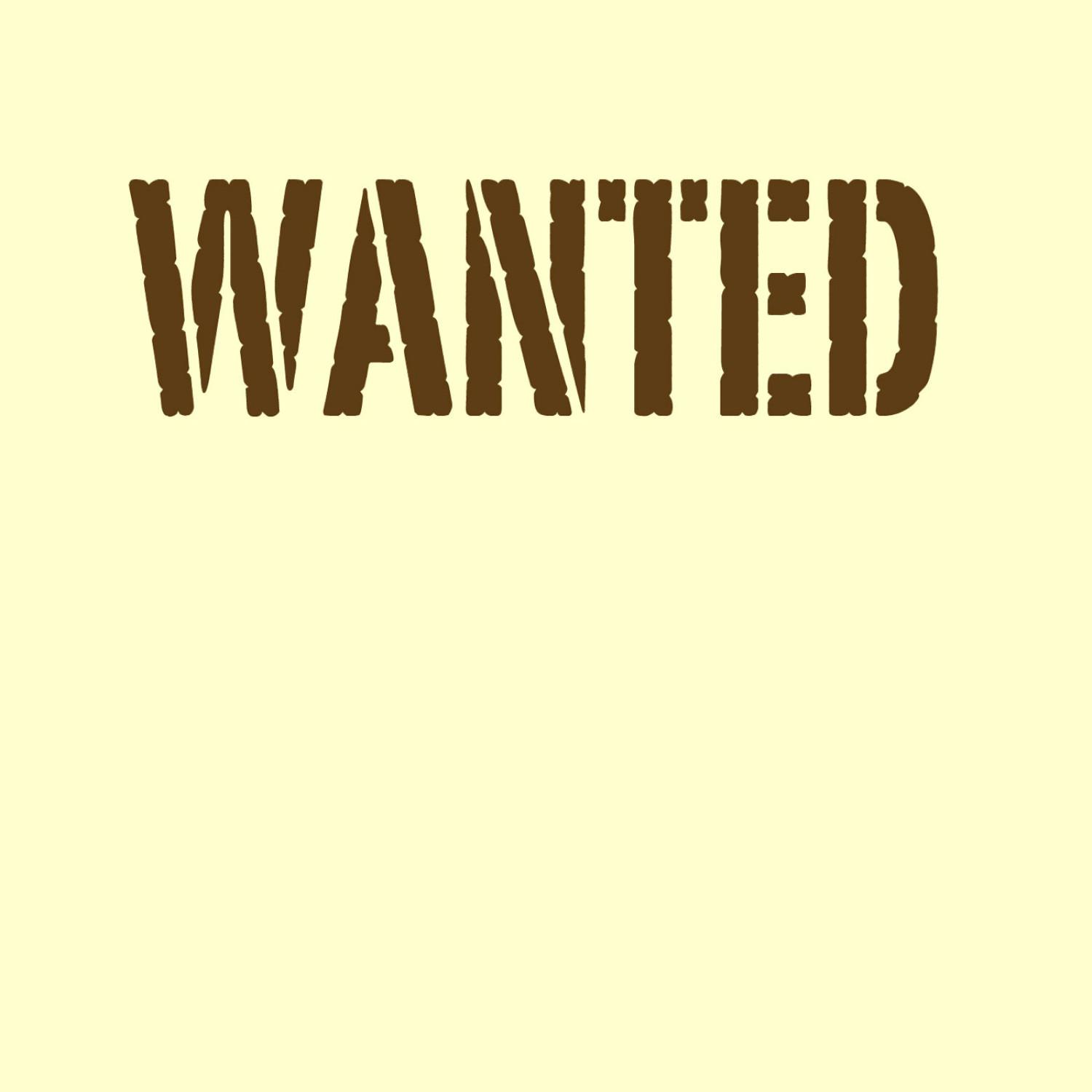 Wanted - Single (Hunter Hayes Tribute)