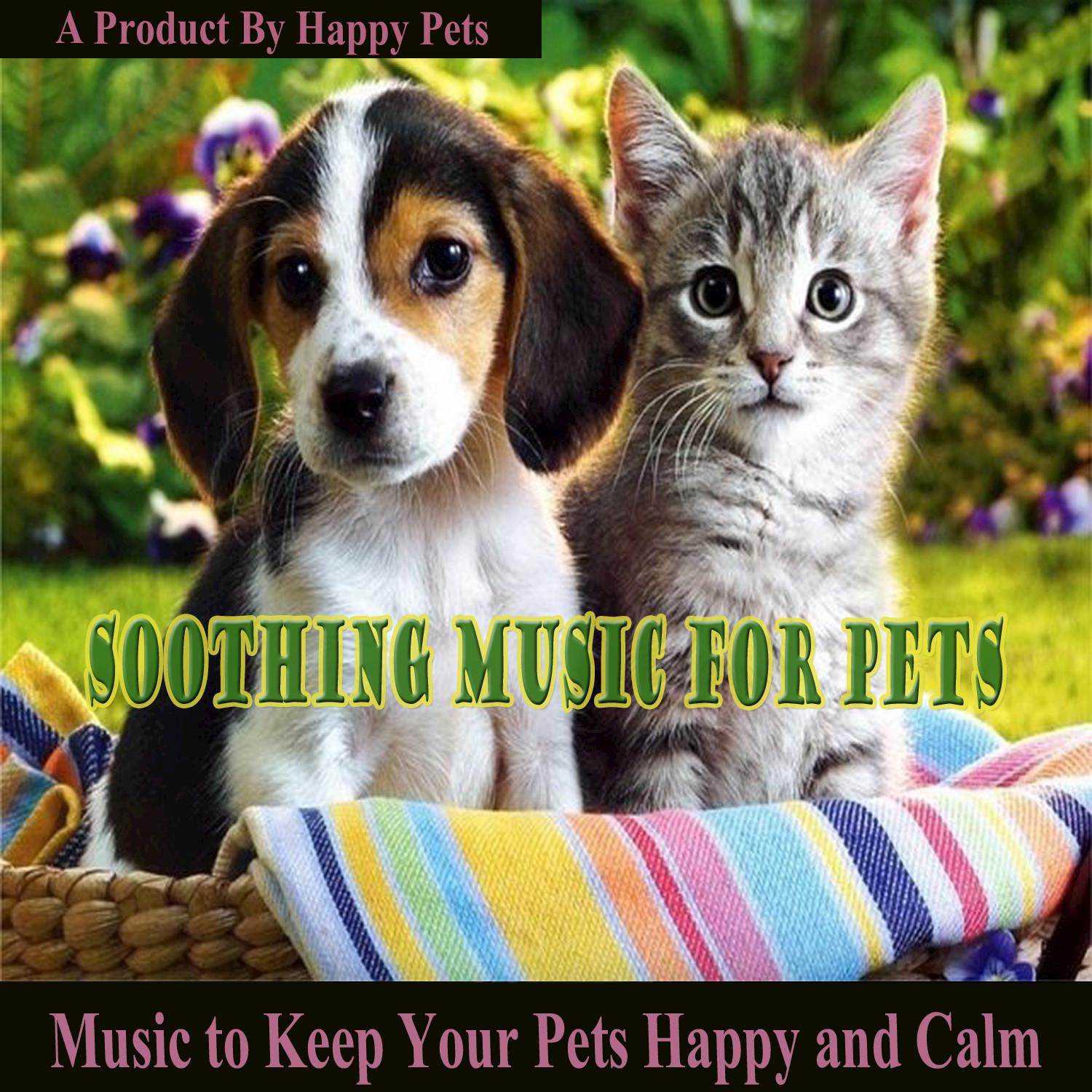 Soothing Music for Pets