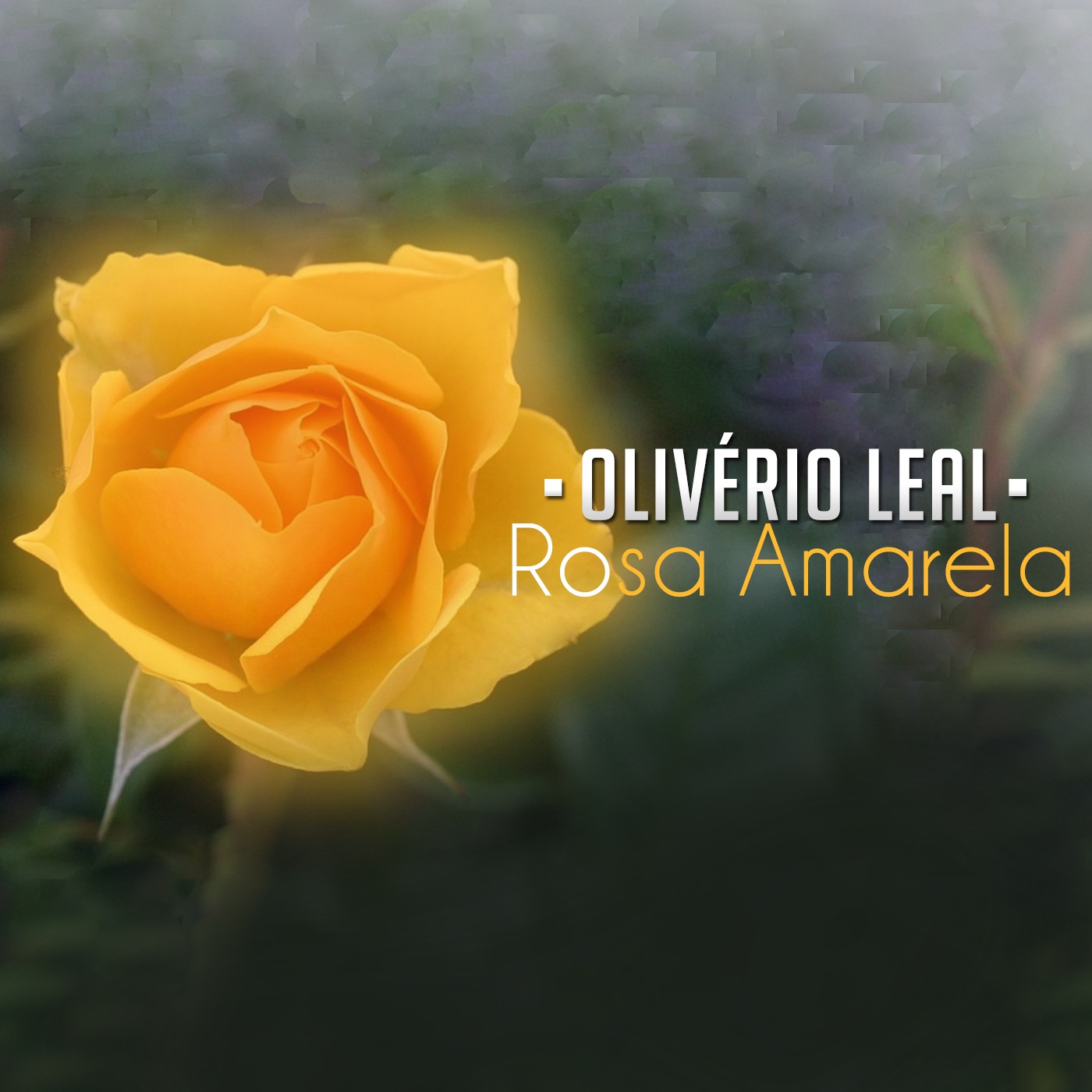 Rosa Amarela