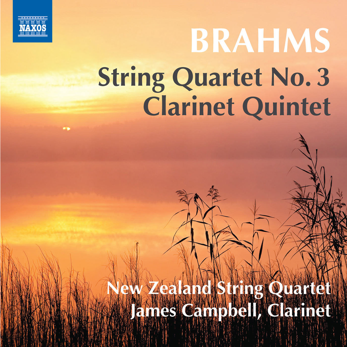 Clarinet Quintet in B Minor, Op. 115:I. Allegro