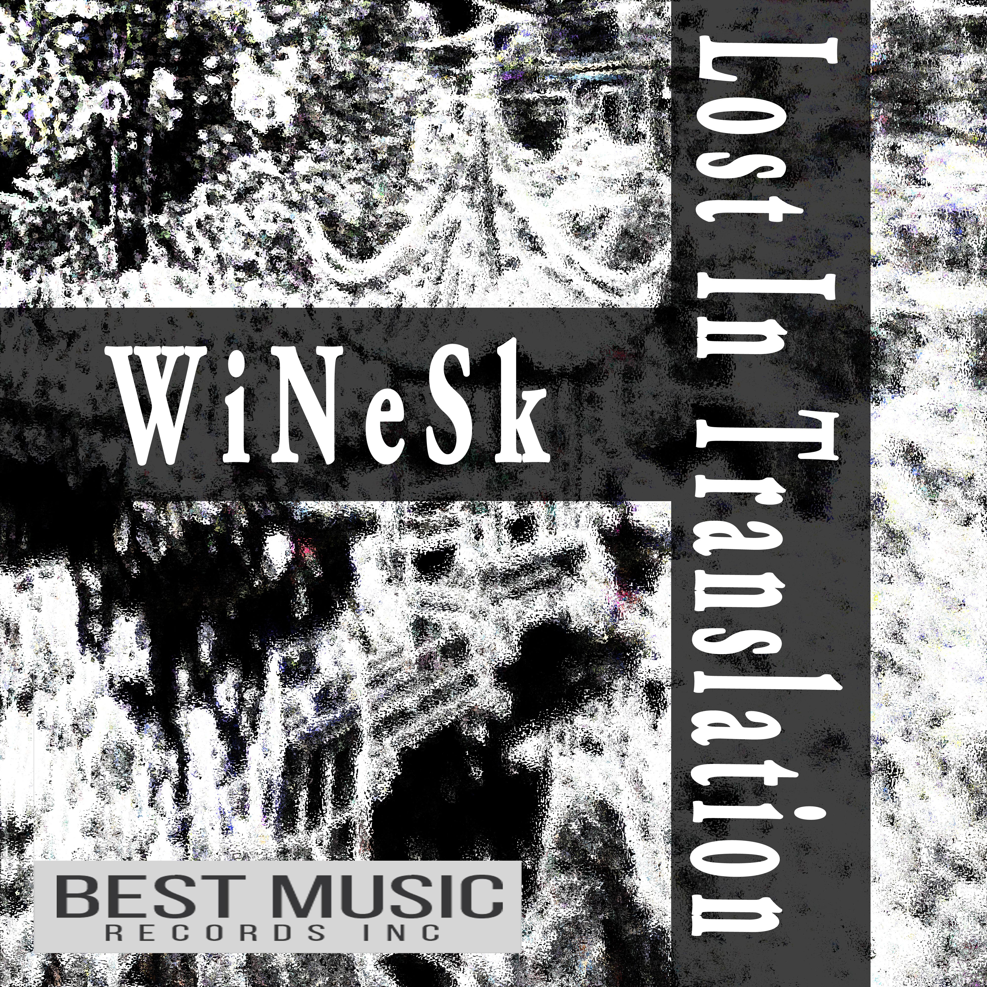 WiNeSk - Lost In Translation