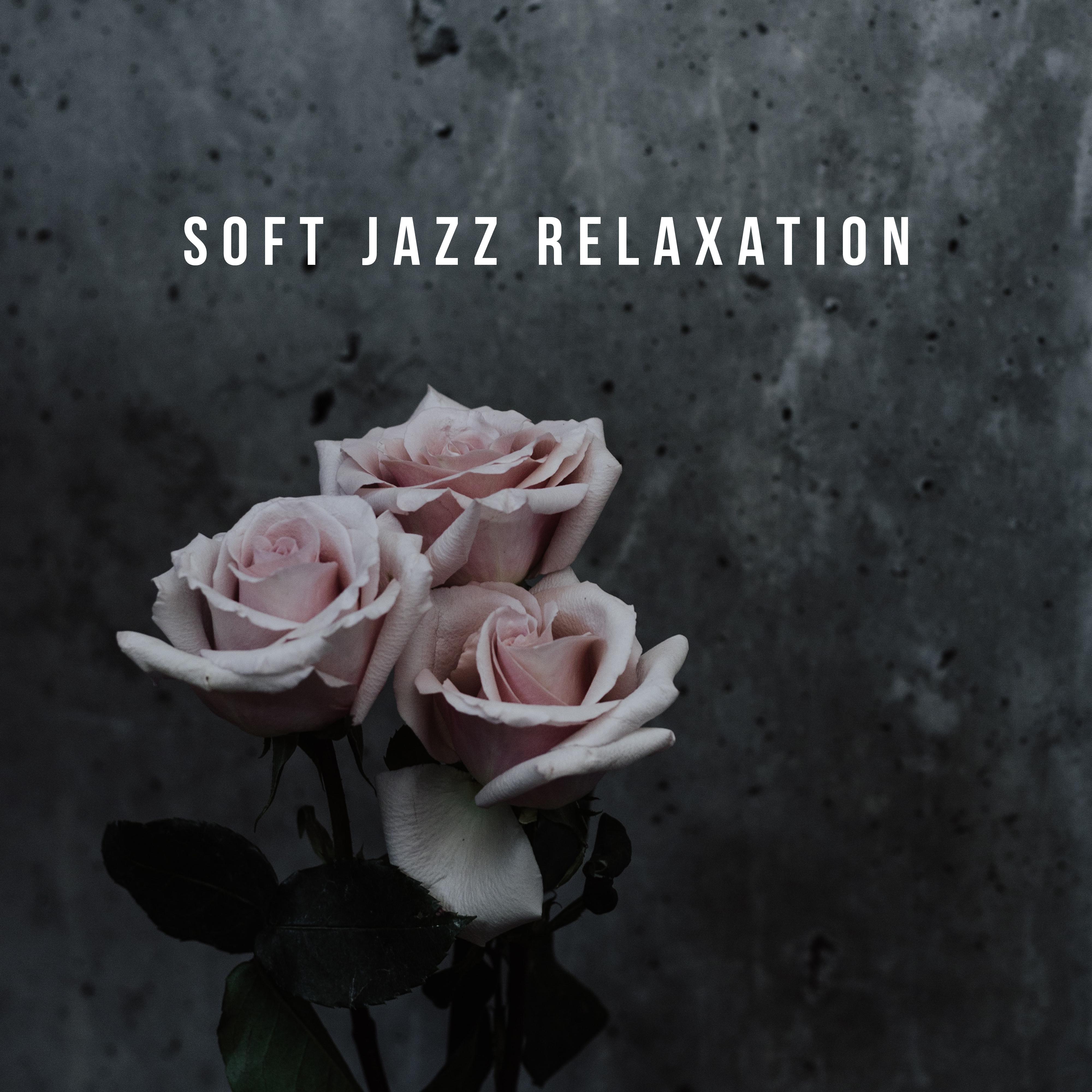 Soft Jazz Relaxation  Soothing Sounds to Calm Down, Instrumental Jazz Music Ambient, Coffee Music, Modern Jazz Relaxation, Pure Relaxation