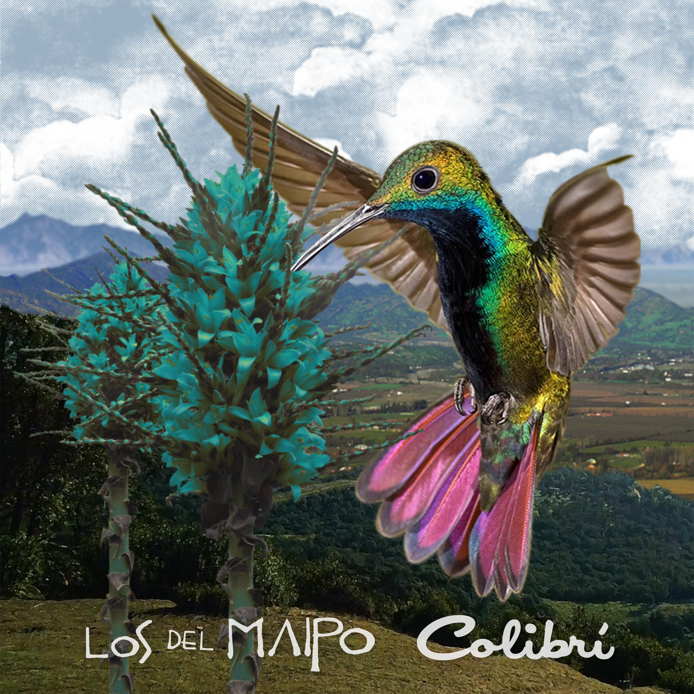 Colibri