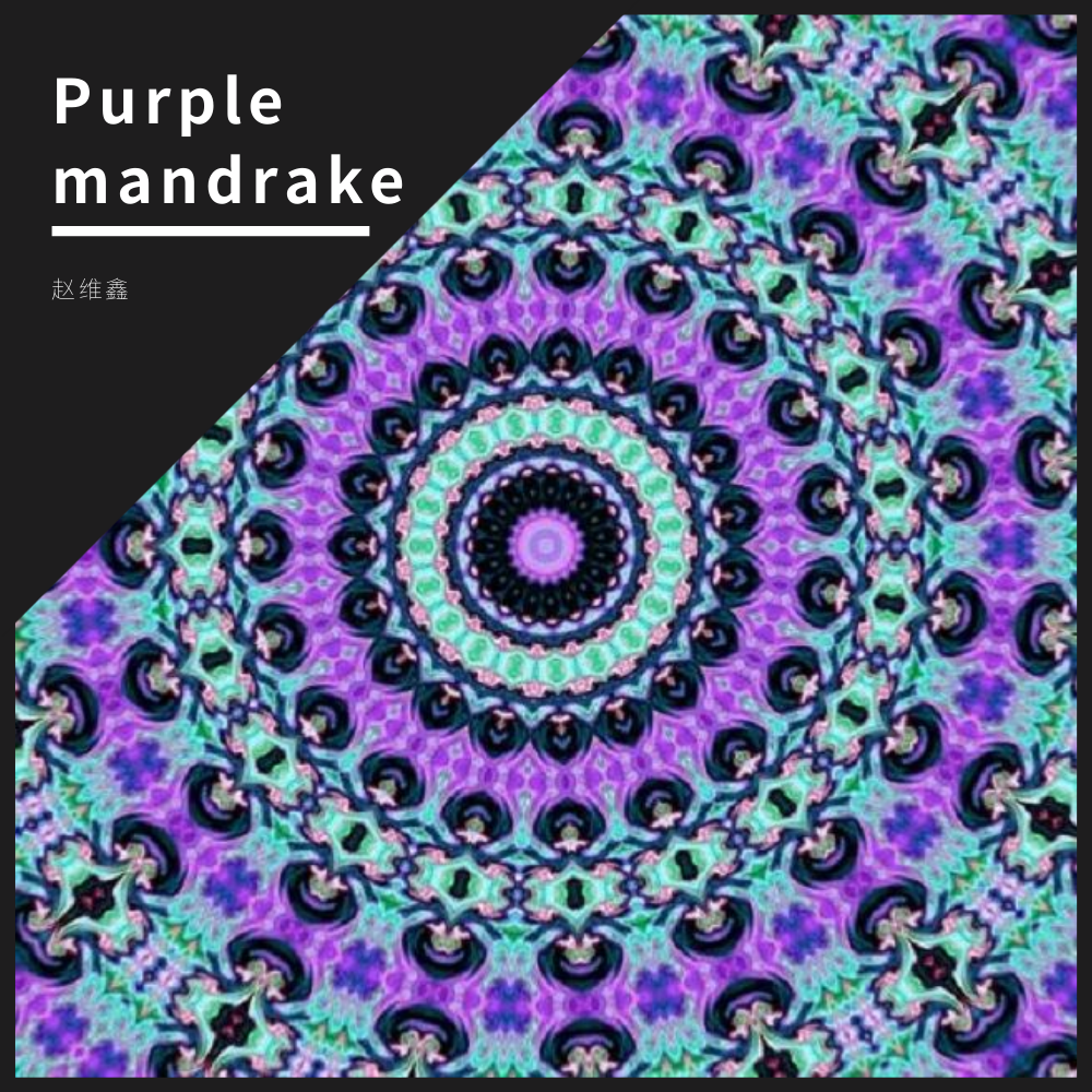 Purple mandrake