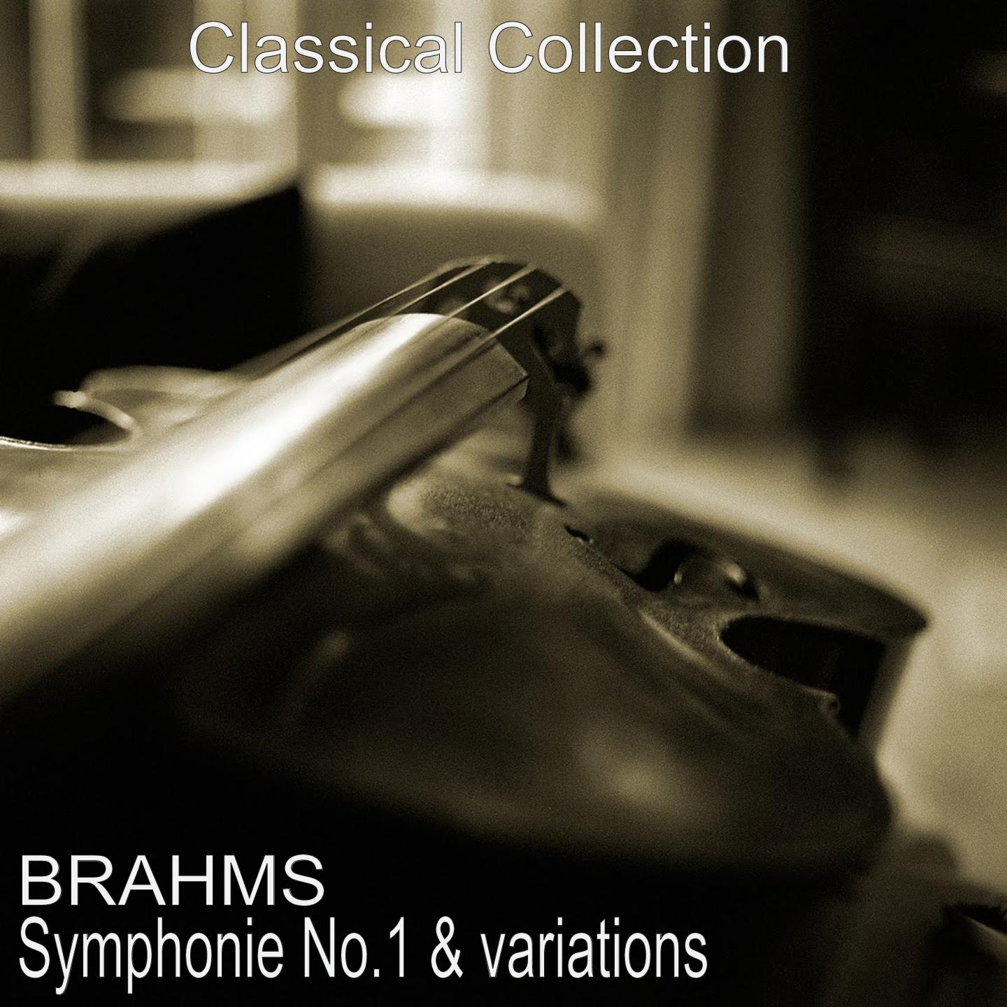 Brahms : Symphonie No. 1 & Variations