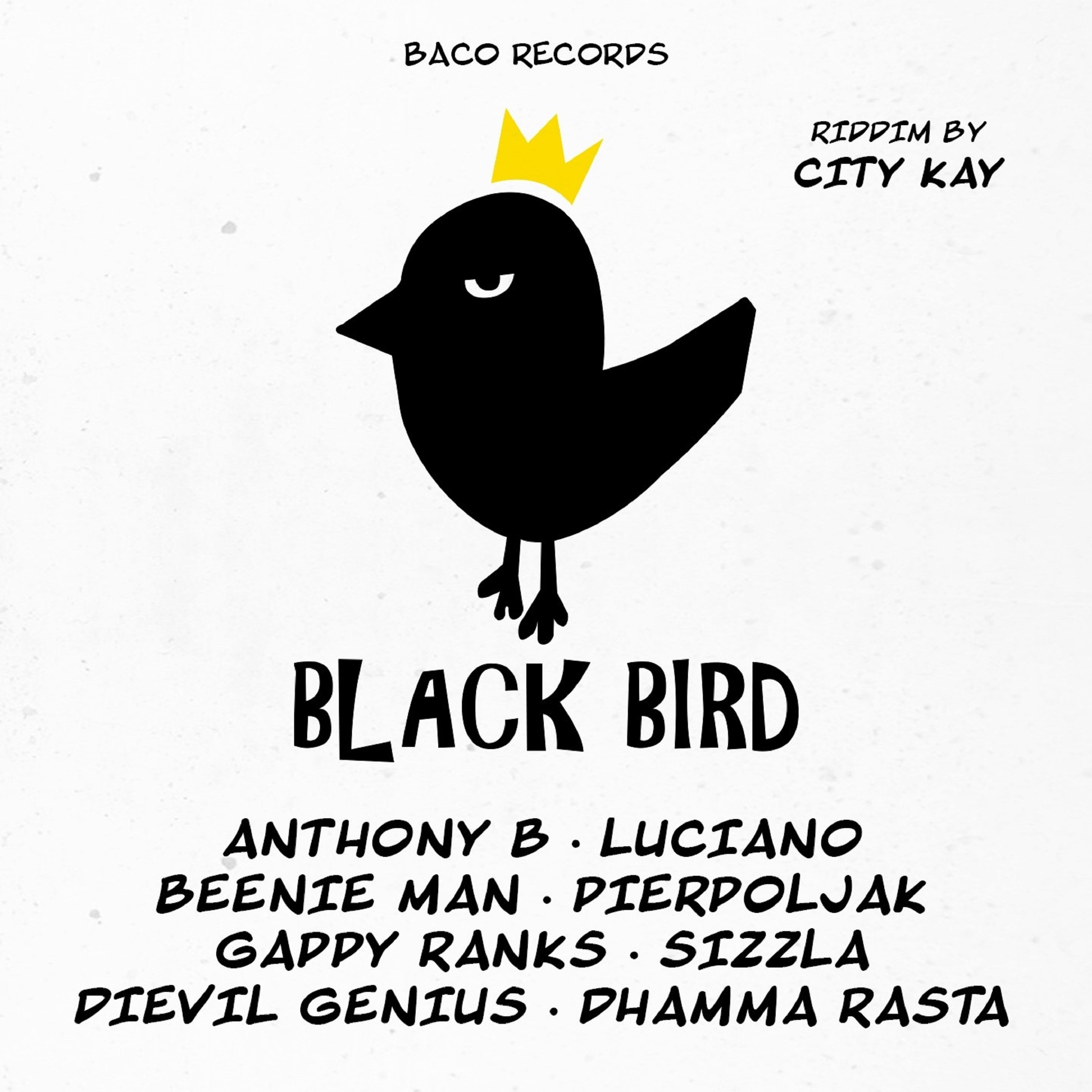 Black Bird Riddim by City Kay