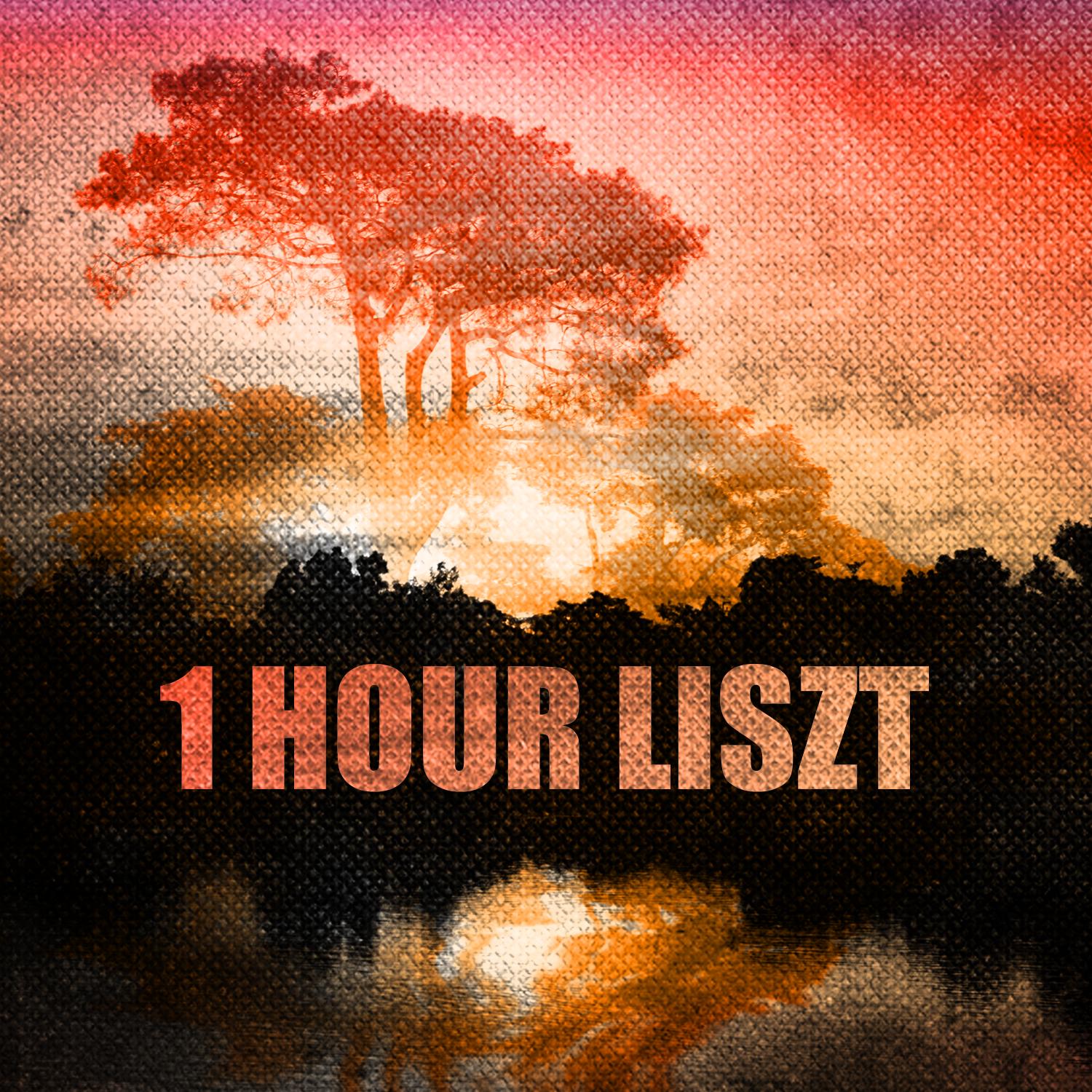 1 Hour Liszt