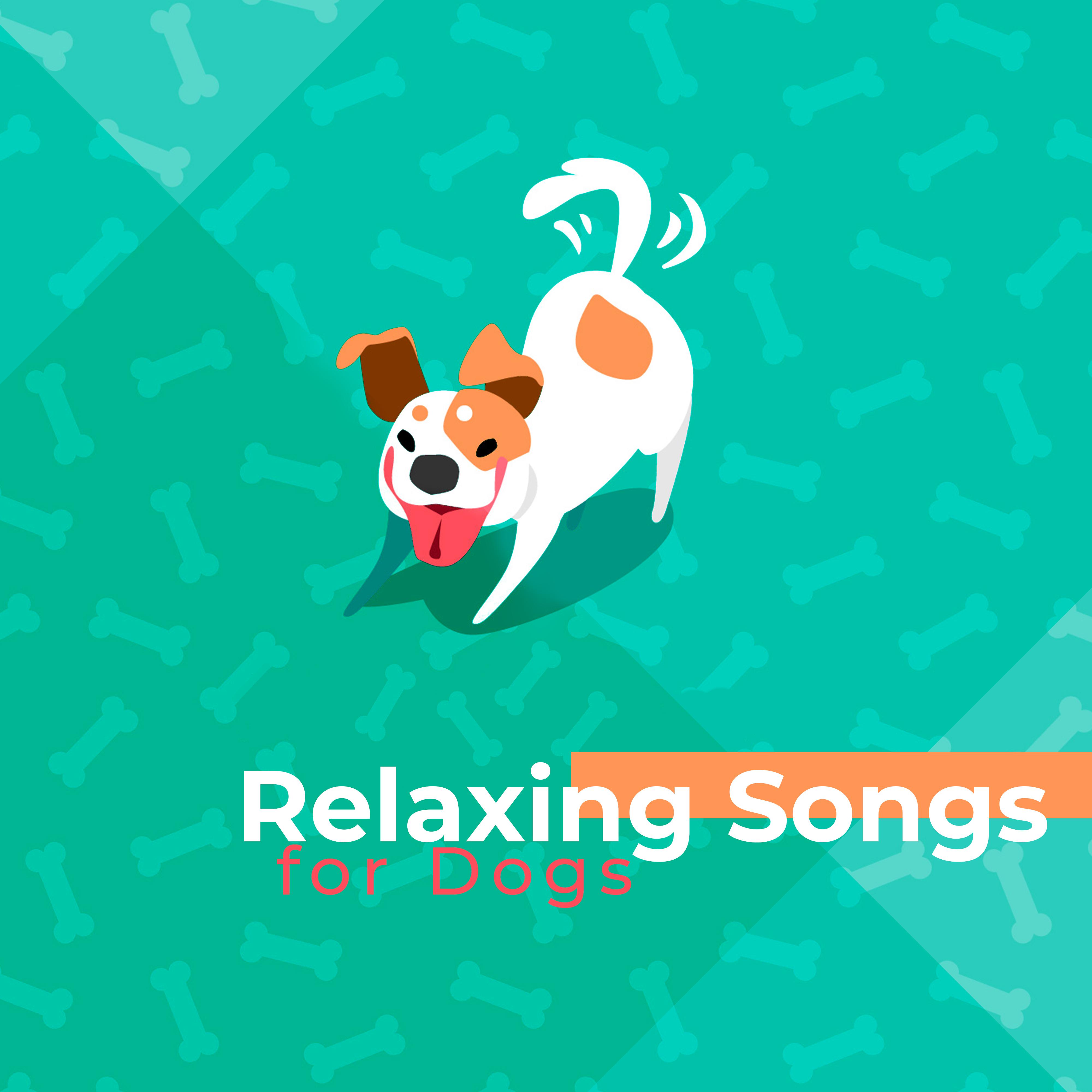 Relaxing Songs for Dogs - Relaxing Melodies for Dogs, Calm Down, Sleep, Pet Sounds, New Age Music 2019