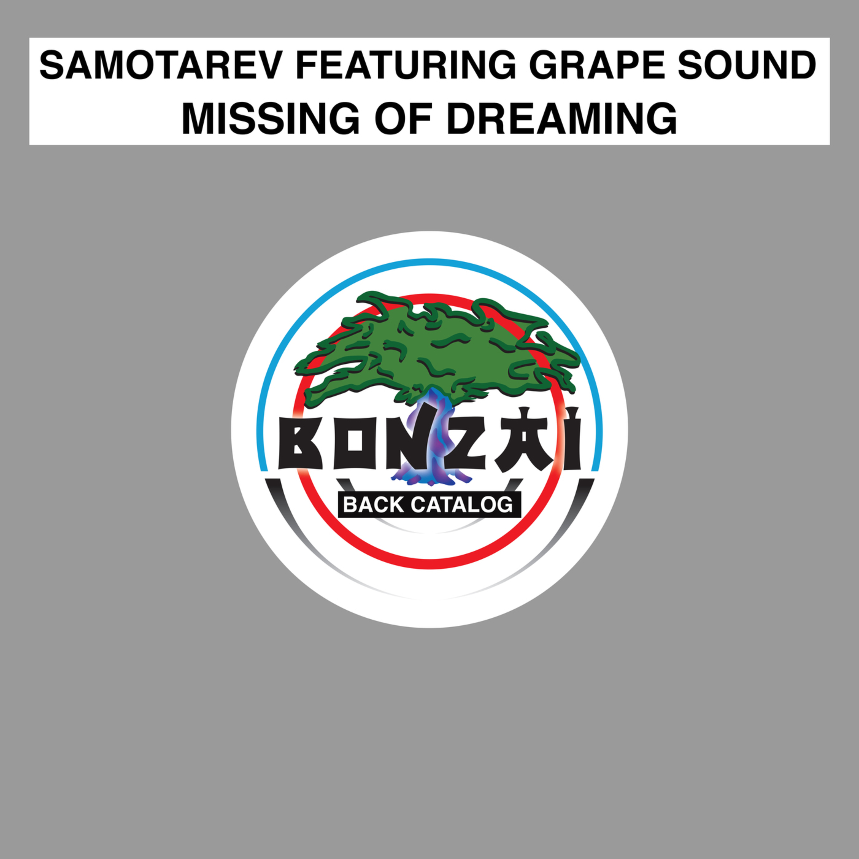 Missing Of Dreaming  feat. Grape Sound