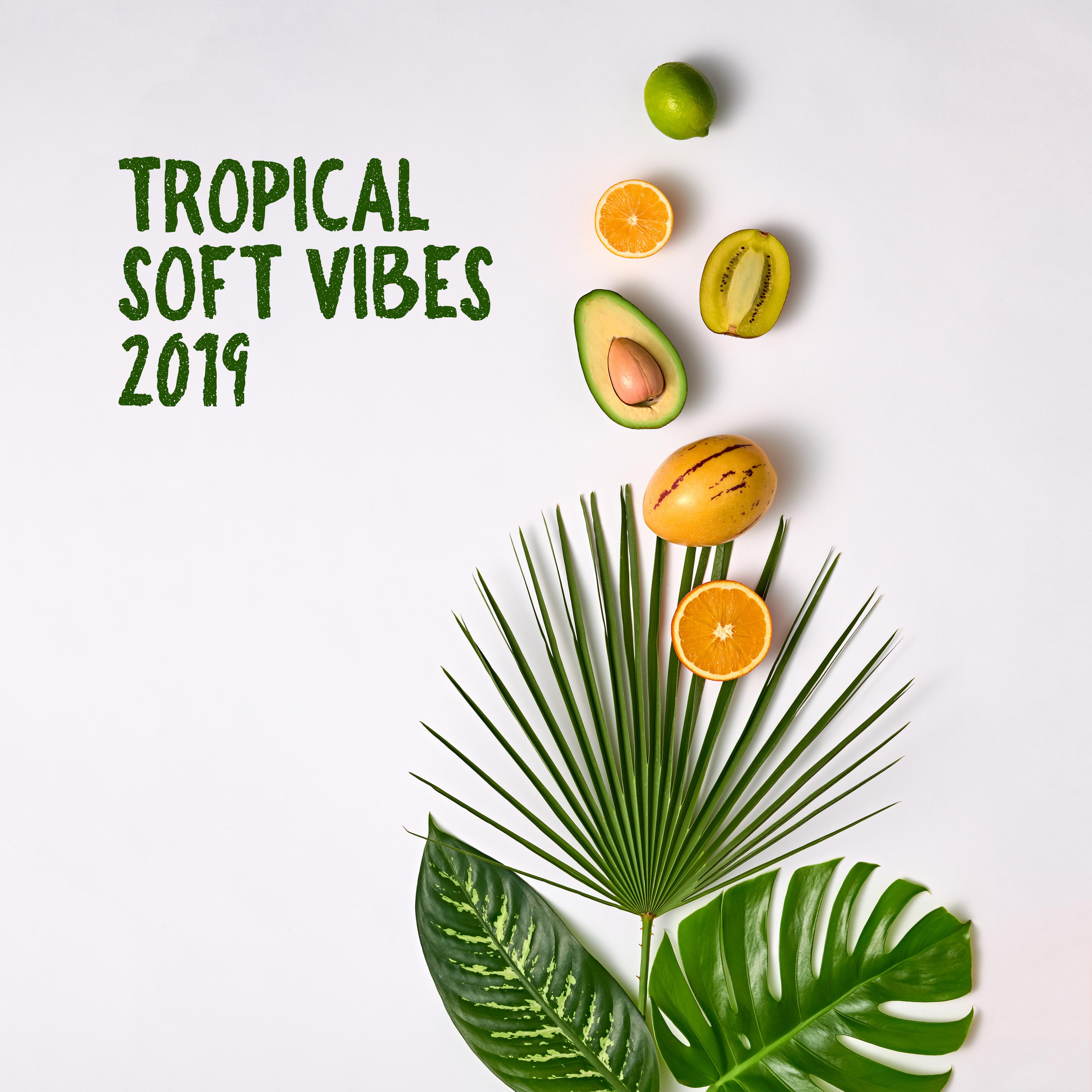 Tropical Soft Vibes 2019  Ibiza Chill Out, Beach Music, Summer Chill 2019,  Vibes, Relax Zone