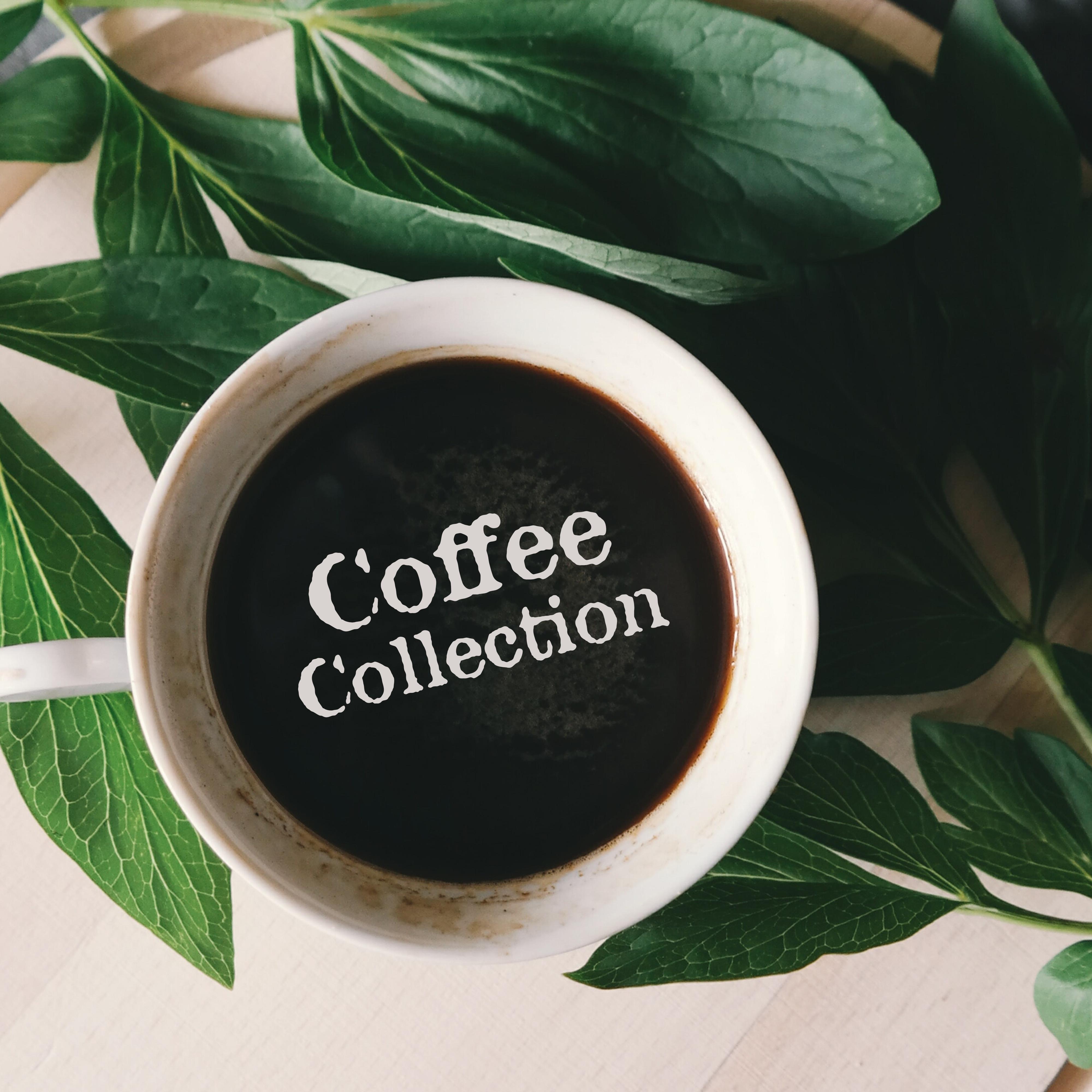 Coffee Collection: Jazz for Restaurant, Coffee, Deep Relaxation, Perfect Relax Zone, Dinner Music, Sensual Jazz Music