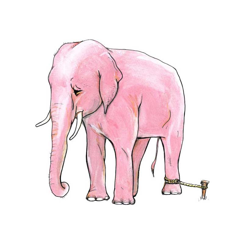 pink elephant