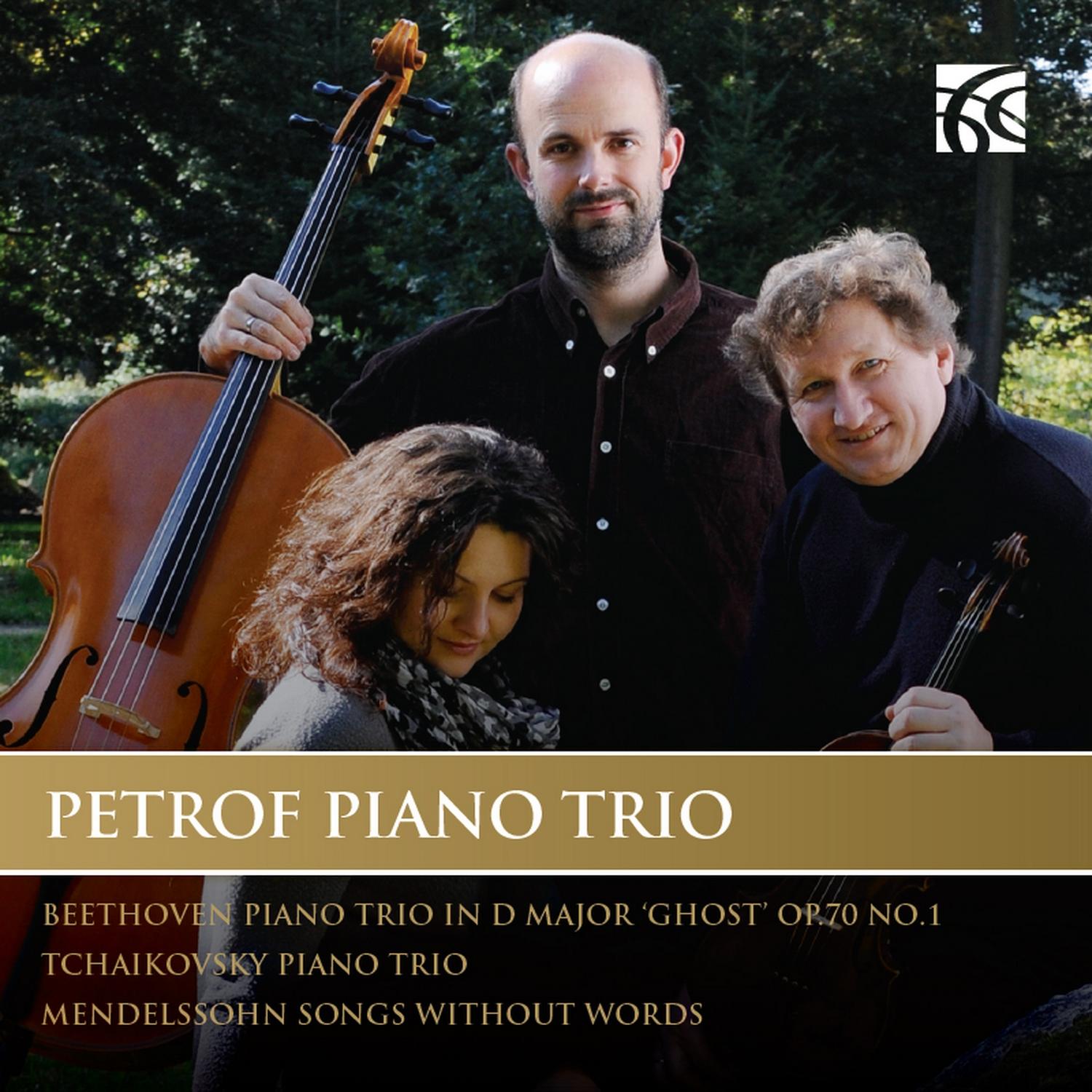 Piano Trio in A Minor, Op. 50: I. Pezzo elegiaco