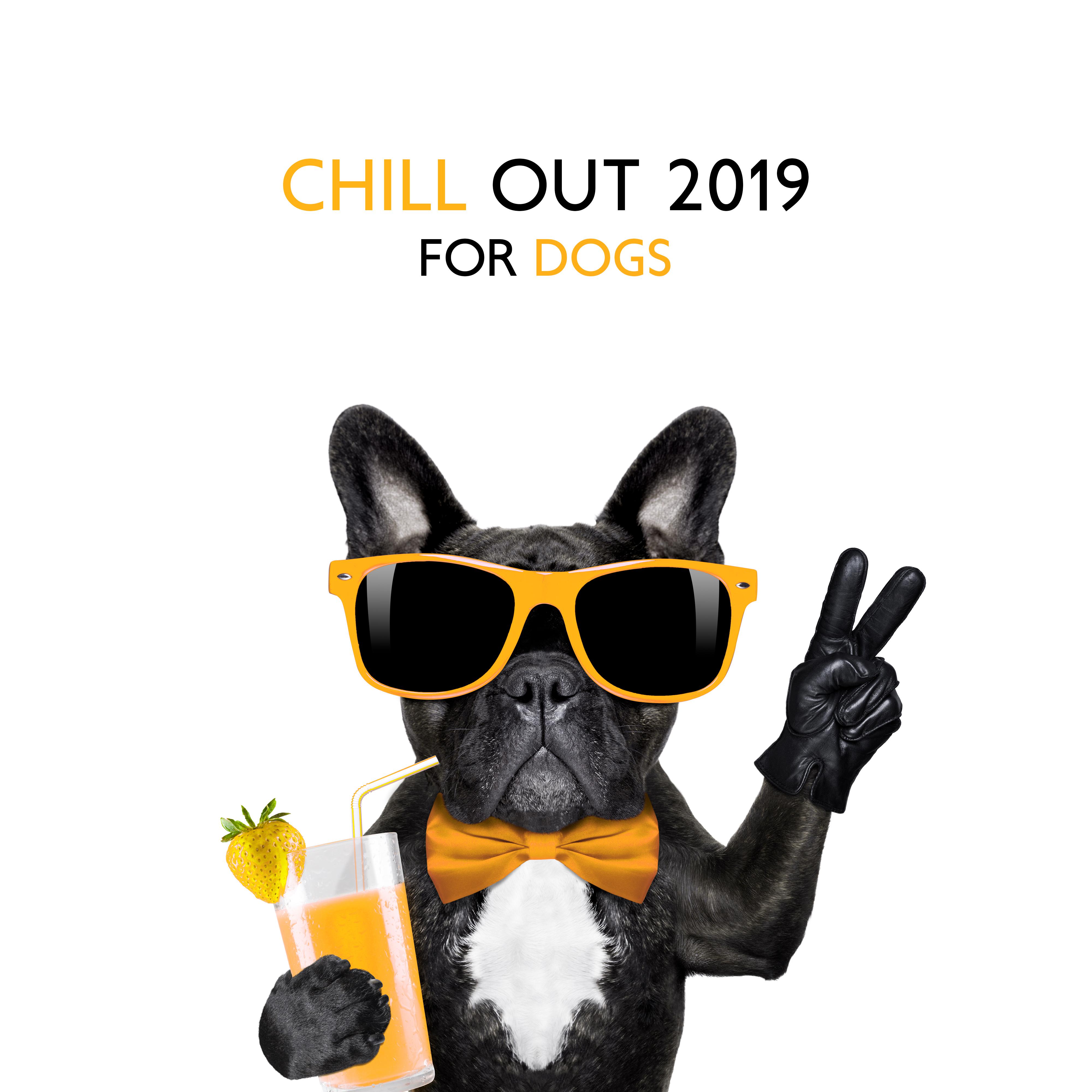 Chill Out 2019 for Dogs  Relaxing Beats for Pets, Summertime 2019, Holiday Beats for Dogs, Summer Hits, Perfect Relax Zone